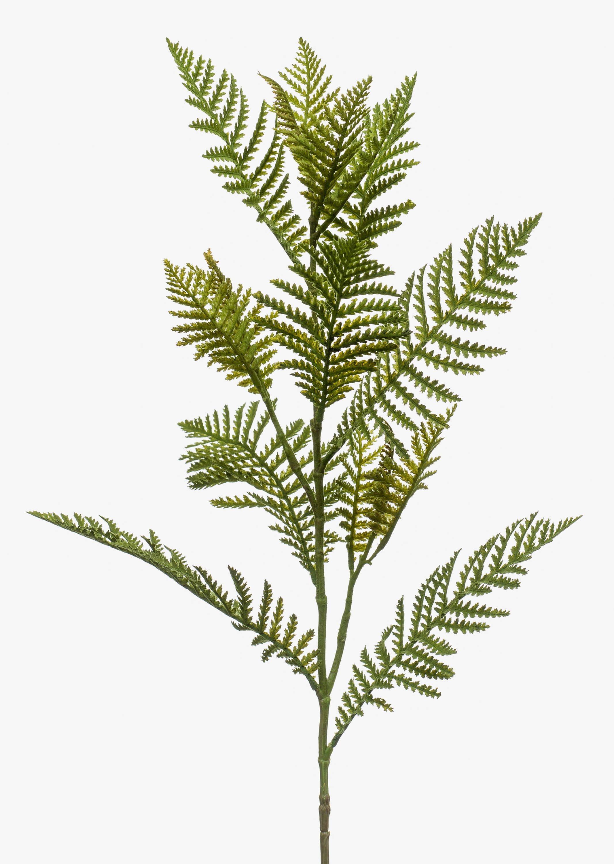 Kunstzweig Boston Farn Zweig ENRIKE, grün, 80cm Farn (Schwertfarn), artplants, Höhe 80.0 cm