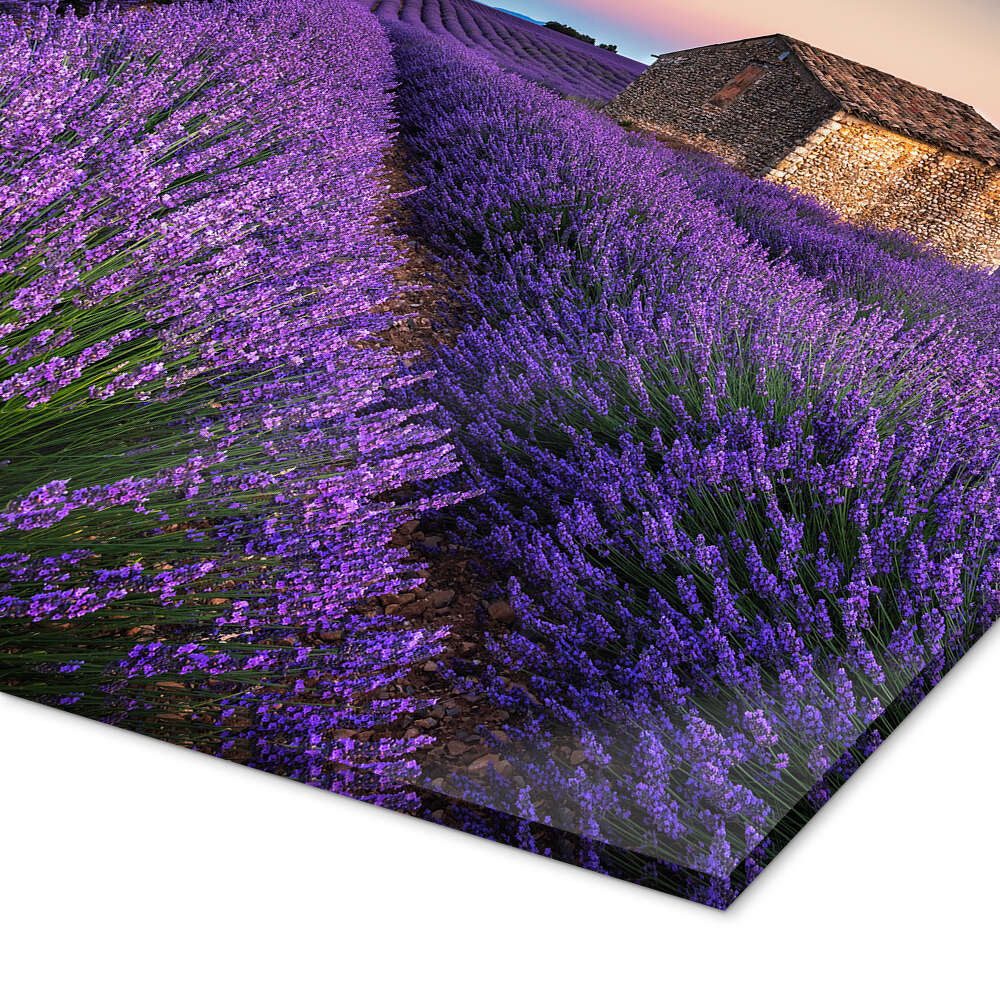 Posterlounge Wandbild Lavendelfarben, André Wandrei, erhältlich als Poster, Leinwandbild, Wandsticker oder Acrylglasbild