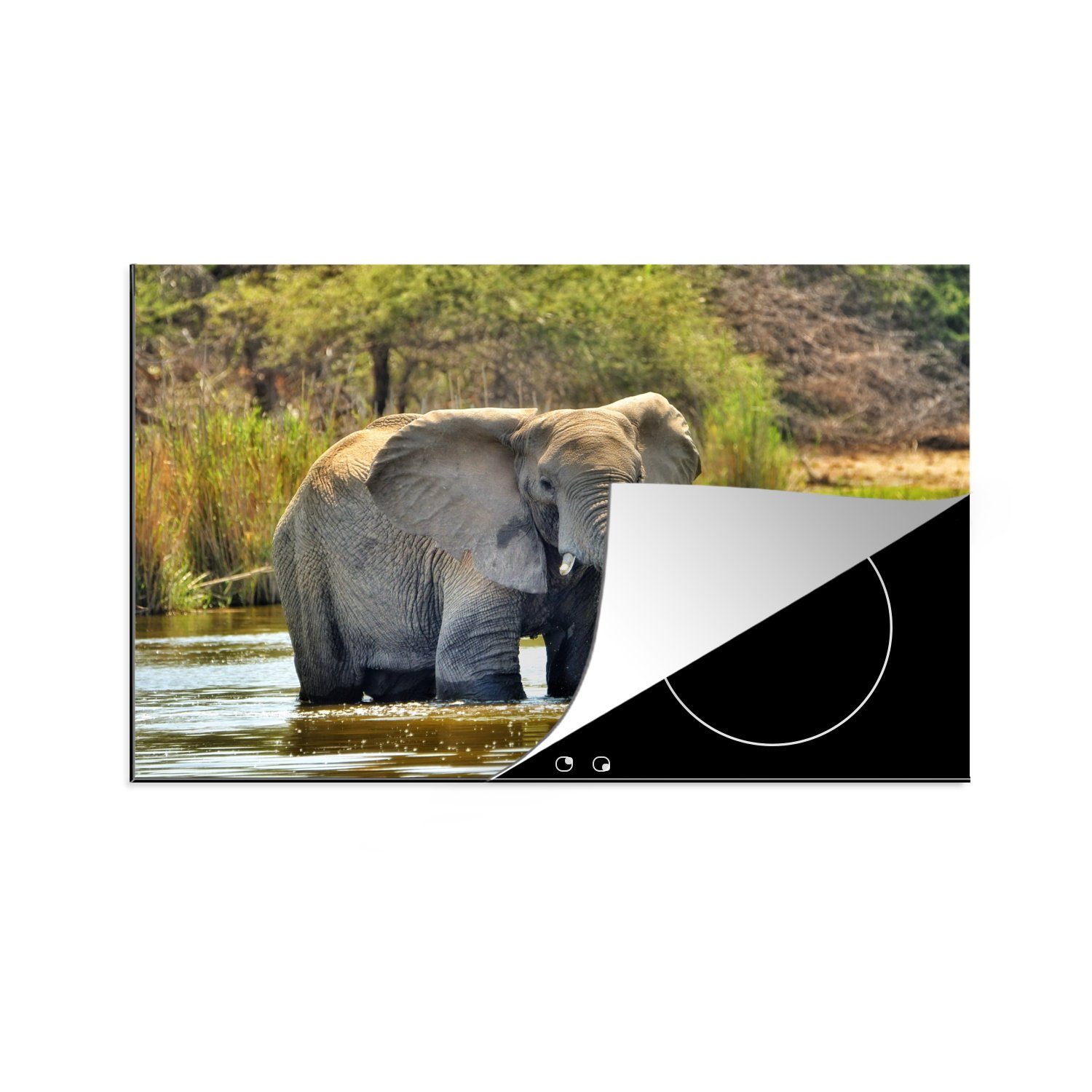 (1 81x52 - die Vinyl, cm, Tiere - Wasser MuchoWow Schutz Ceranfeldabdeckung Herdblende-/Abdeckplatte tlg), - Induktionskochfeld küche, für Natur, Elefant