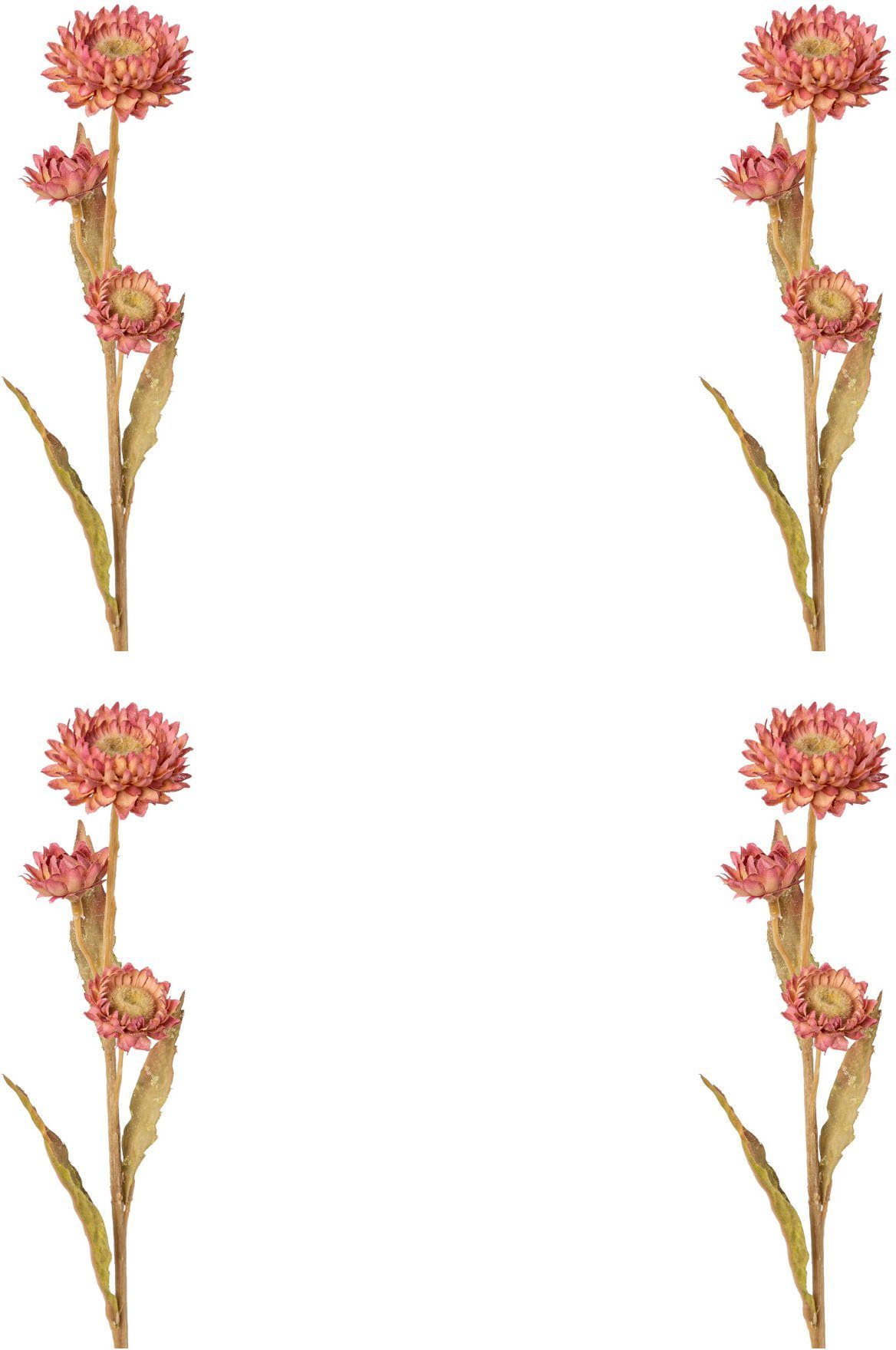 Kunstblume Strohblume