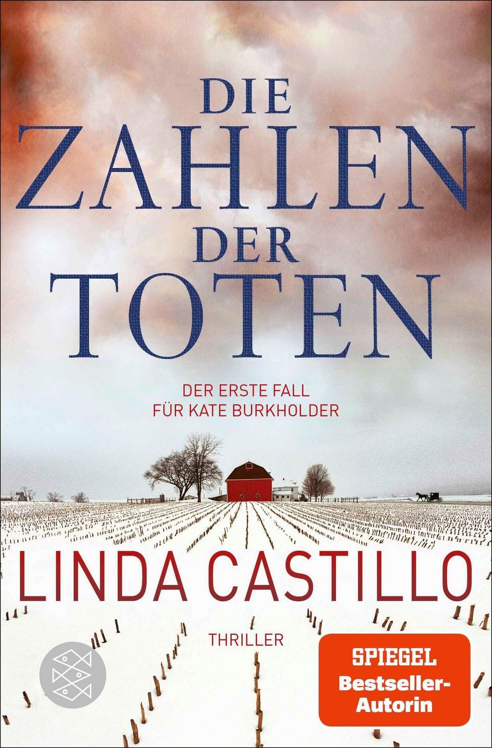 Die Zahlen der Toten / Kate Burkholder Band 1 / Linda Castillo