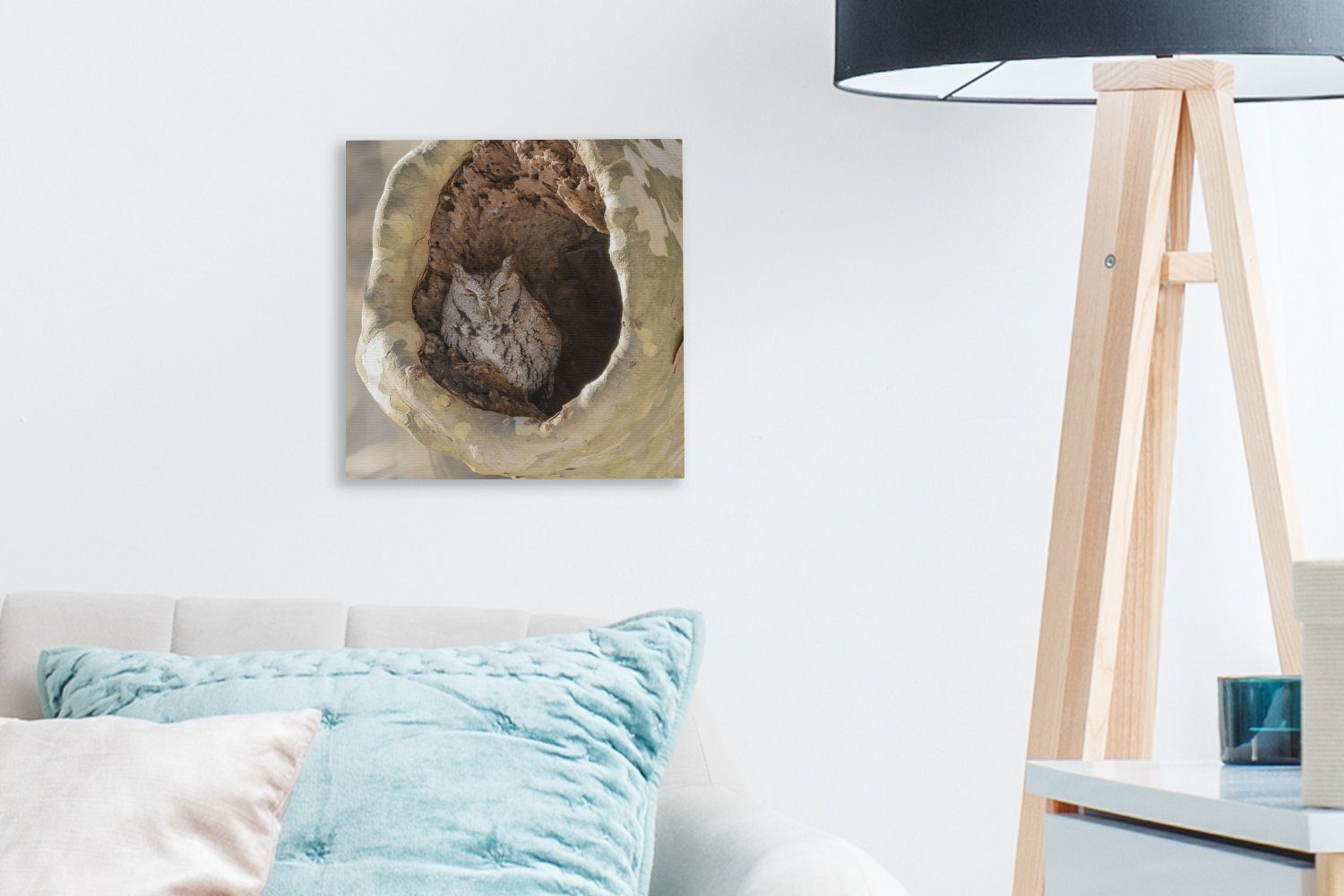 Bilder in (1 hohlen Wohnzimmer für Leinwand OneMillionCanvasses® Steinkauz rastet einem Schlafzimmer St), Baum, Leinwandbild