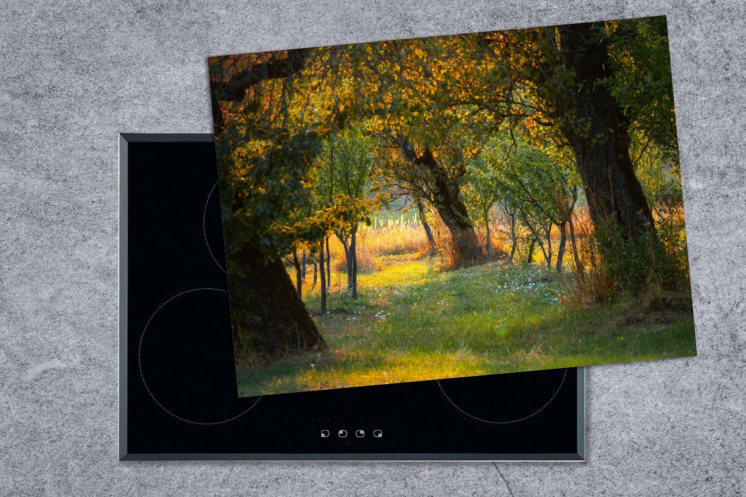 cm, Herdblende-/Abdeckplatte Grüne Rumänien, Vinyl, Ceranfeldabdeckung (1 Arbeitsfläche Landschaft MuchoWow im 70x52 tlg), Sommer nutzbar, in Mobile
