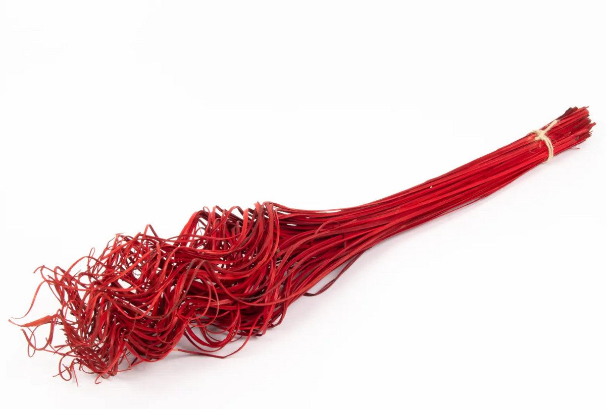 Trockenblume Weiden Spiral Bündel Rot, ca. 70cm, NaDeco