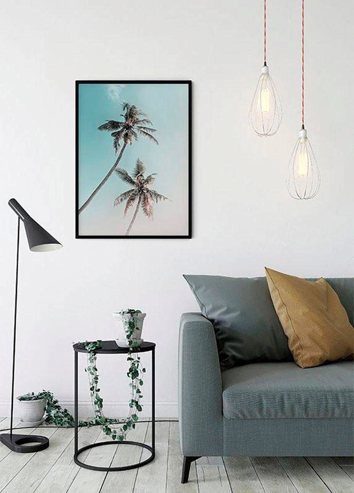 Bild Miami Palms