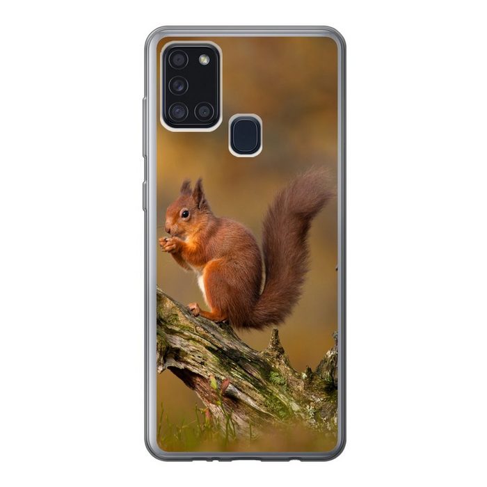 MuchoWow Handyhülle Eichhörnchen - Baumstamm - Wald Handyhülle Samsung Galaxy A21s Smartphone-Bumper Print Handy