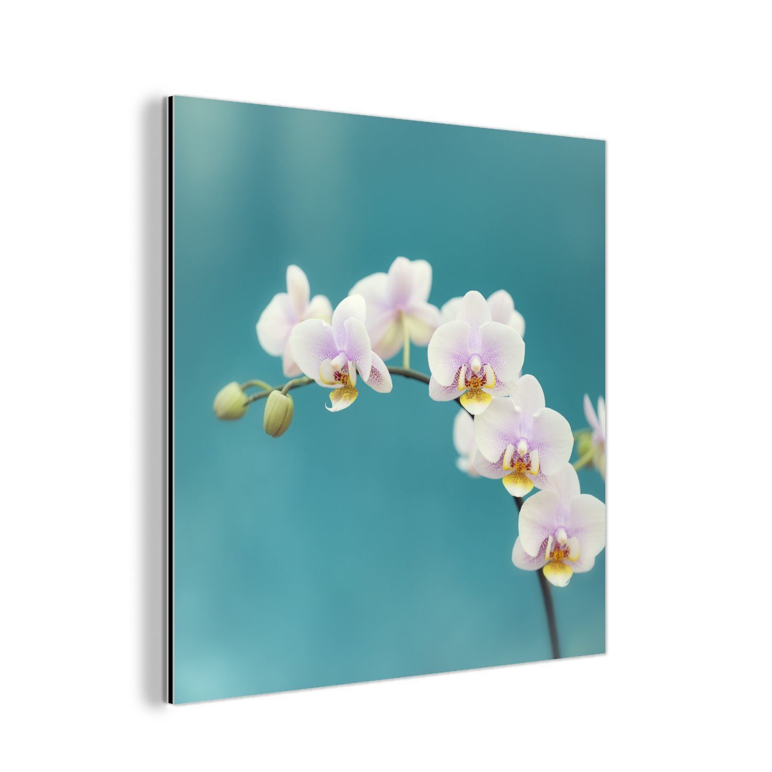 MuchoWow Metallbild Orchidee - Blumen - Pflanze - Weiß - Lila, (1 St), Alu-Dibond-Druck, Gemälde aus Metall, Aluminium deko