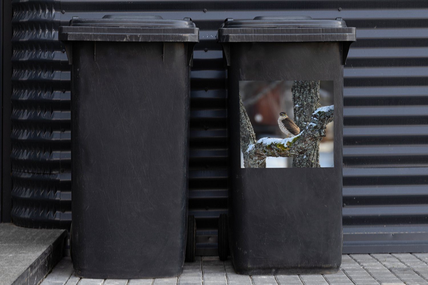 Ein Mülleimer-aufkleber, Baumast Wandsticker MuchoWow Mülltonne, auf Container, Falke St), (1 einem Sticker, Abfalbehälter