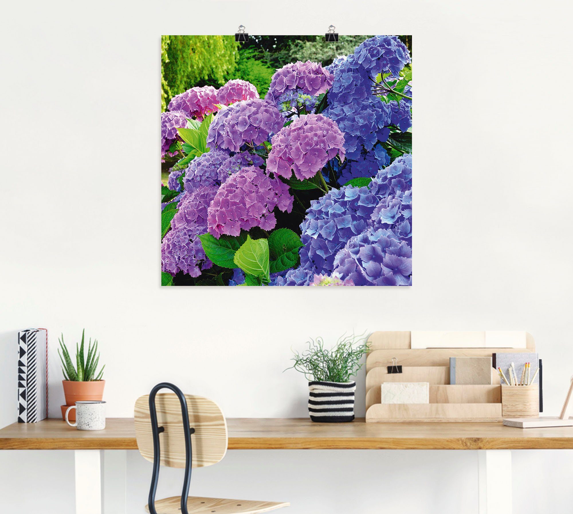 Artland Wandbild Hortensien im Garten, Blumen (1 St), als Alubild,  Leinwandbild, Wandaufkleber oder Poster in versch. Größen