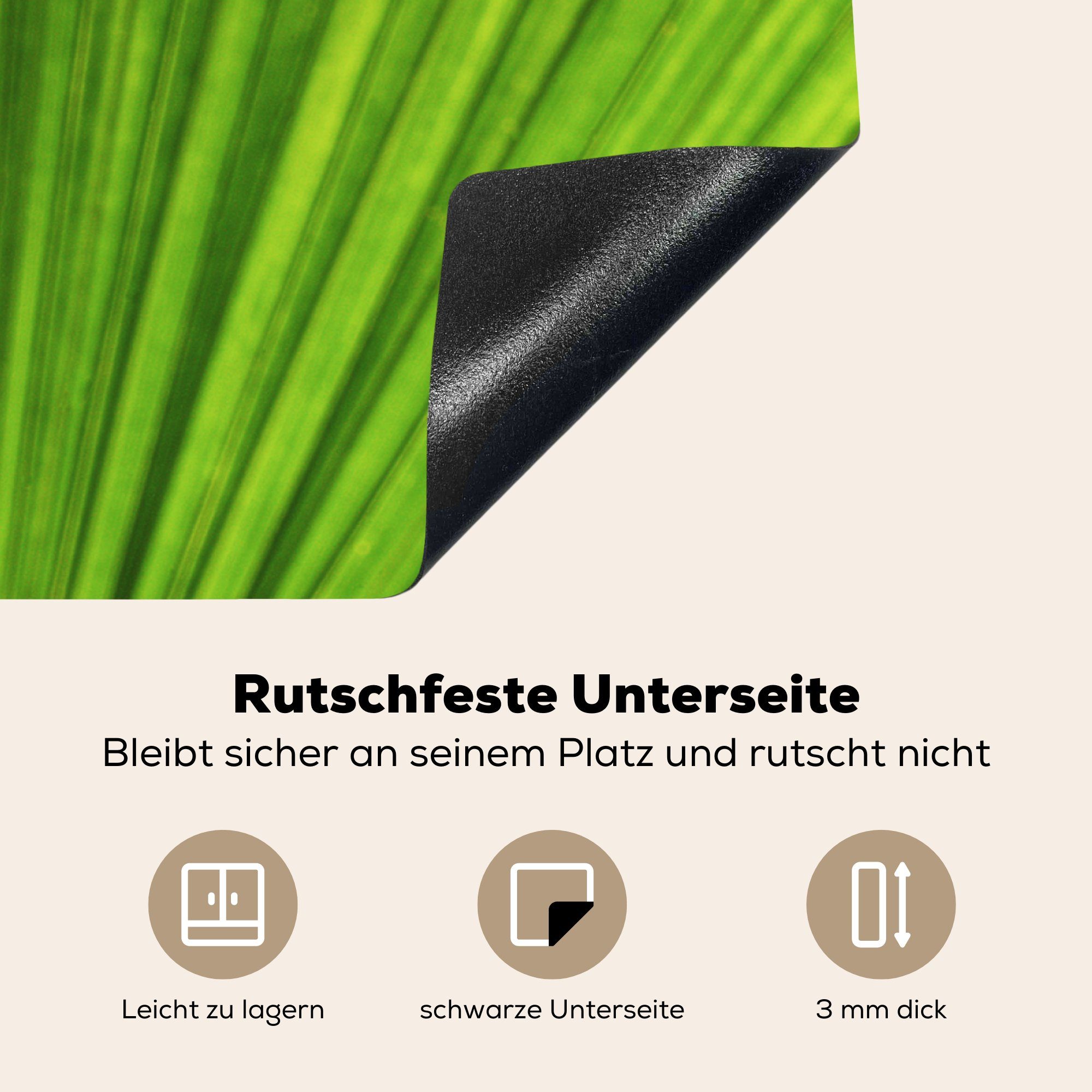 Chamäleon (1 Blatt, Ceranfeldabdeckung, MuchoWow für Herdblende-/Abdeckplatte Vinyl, küche Arbeitsplatte grünen tlg), mit cm, 78x78 einem