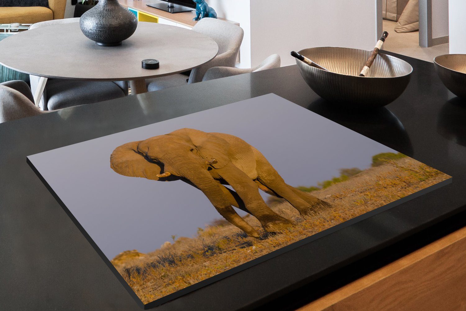 MuchoWow Herdblende-/Abdeckplatte Afrikanischer küche, die cm, Schutz Sand, (1 Ceranfeldabdeckung im 81x52 tlg), Induktionskochfeld Elefant für Vinyl