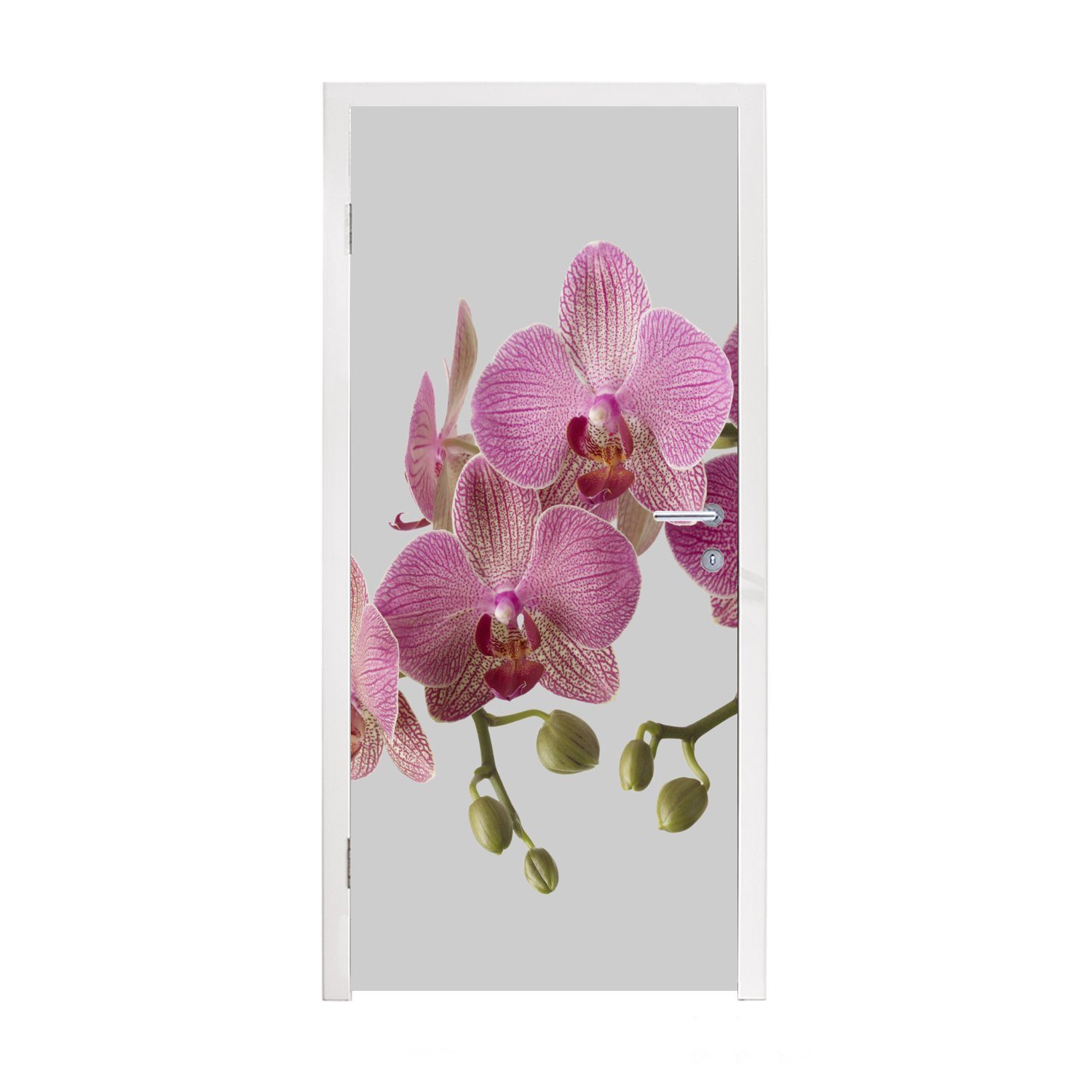 MuchoWow Türtapete Orchideen auf grauem Hintergrund, Matt, bedruckt, (1 St), Fototapete für Tür, Türaufkleber, 75x205 cm
