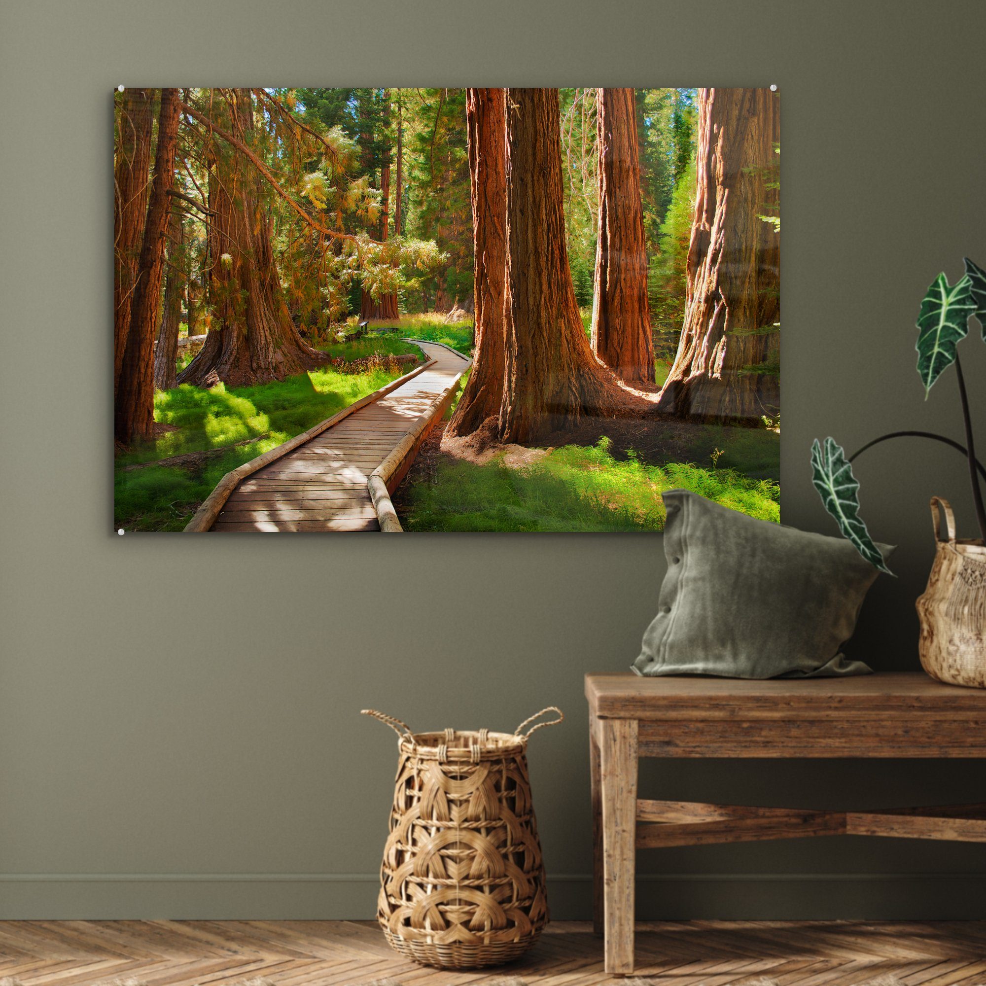 Sequoia Pfad & (1 National Schlafzimmer St), MuchoWow durch Park Kalifornien, Acrylglasbild den Wohnzimmer Acrylglasbilder Hölzerner in