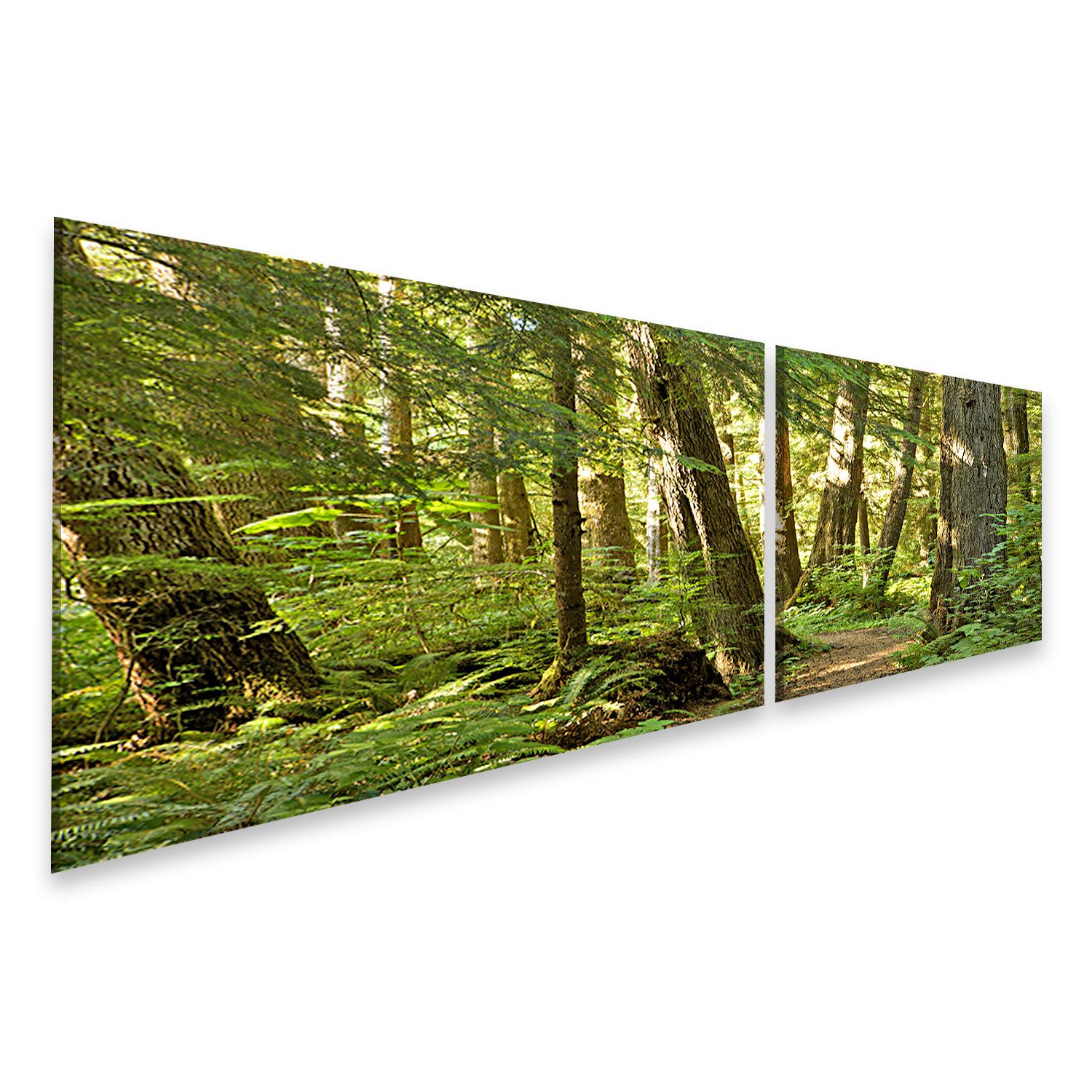 islandburner Leinwandbild Bäume Wald Bilder