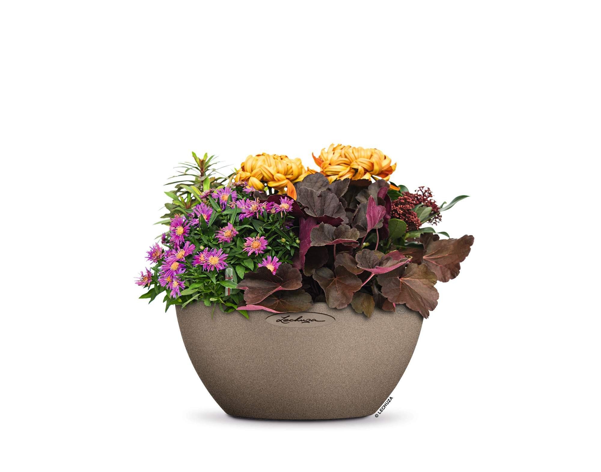 Lechuza® Blumentopf Cubeto Stone 30 - günstig online kaufen