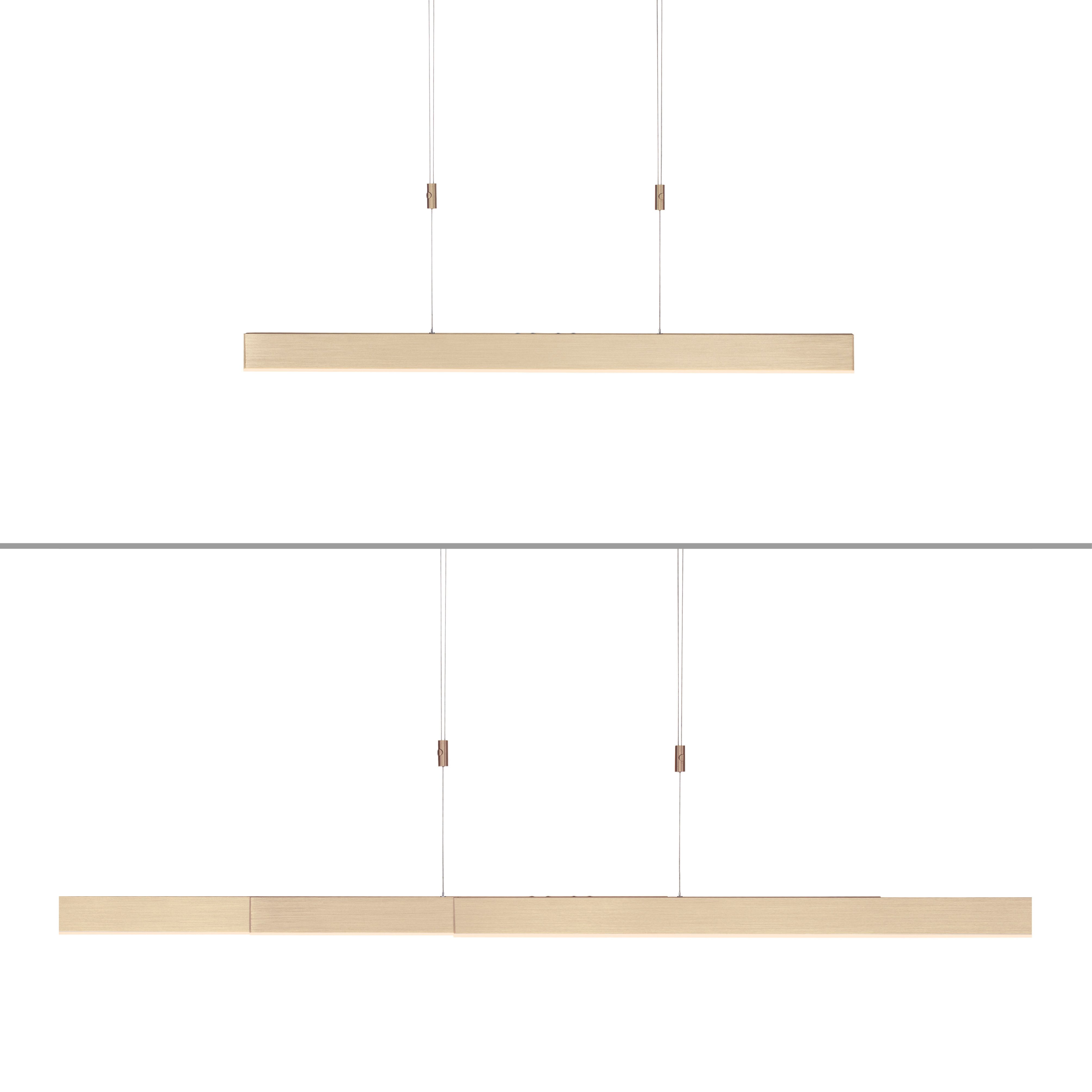 Neuhaus PURE LED Pendelleuchte PURE Moto, CCT - über Fernbedienung, LED fest integriert, warmweiß - kaltweiß, e-SLIDE® Funktion, CCT, dimmbar, Fernbedienung