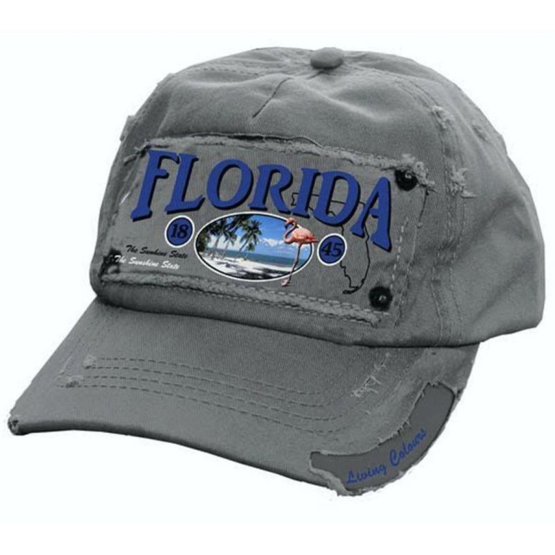 Living Colours Baseball Cap Florida Used Look