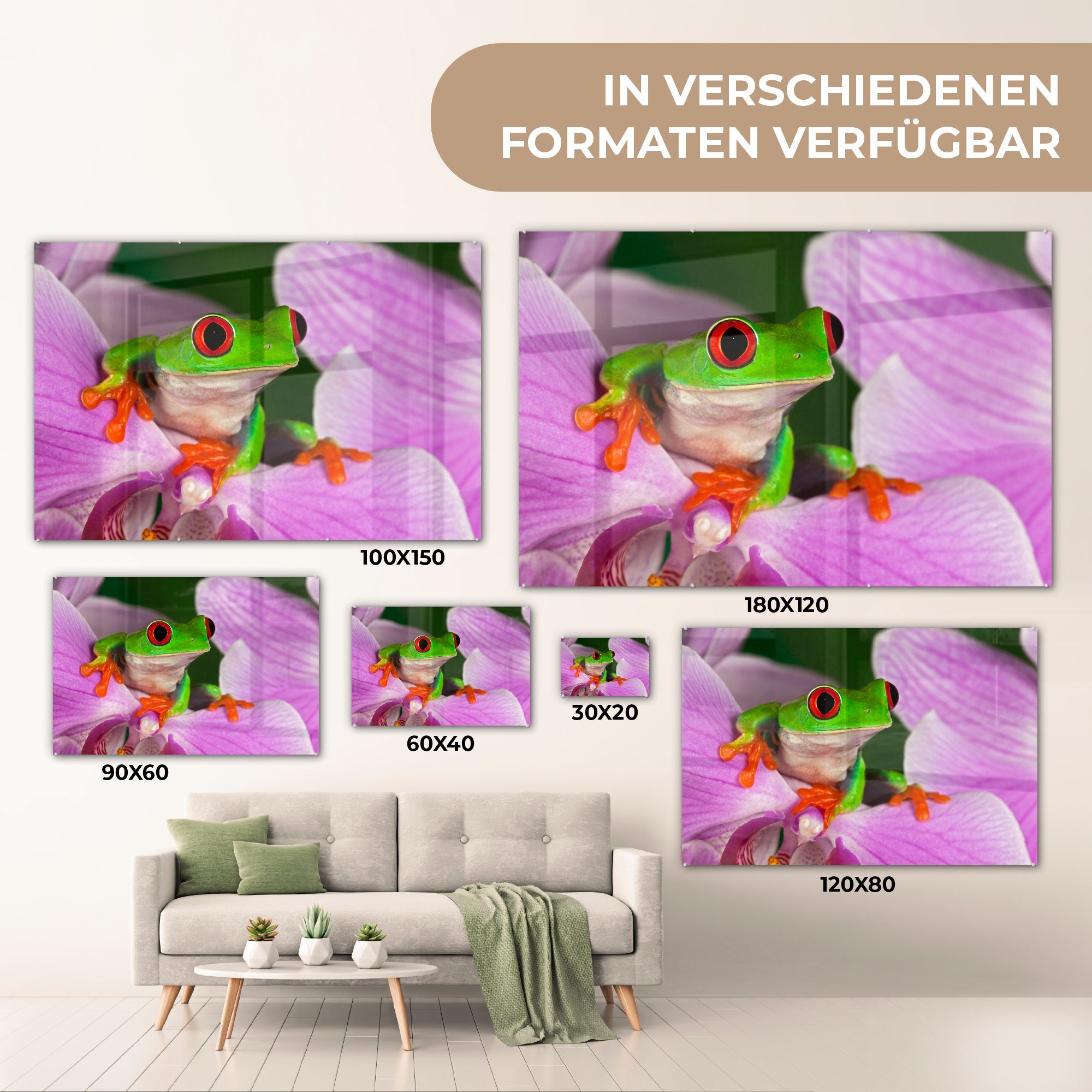 MuchoWow Acrylglasbild - & Acrylglasbilder Wohnzimmer Orchidee Schlafzimmer Reptil, - St), (1 Frosch