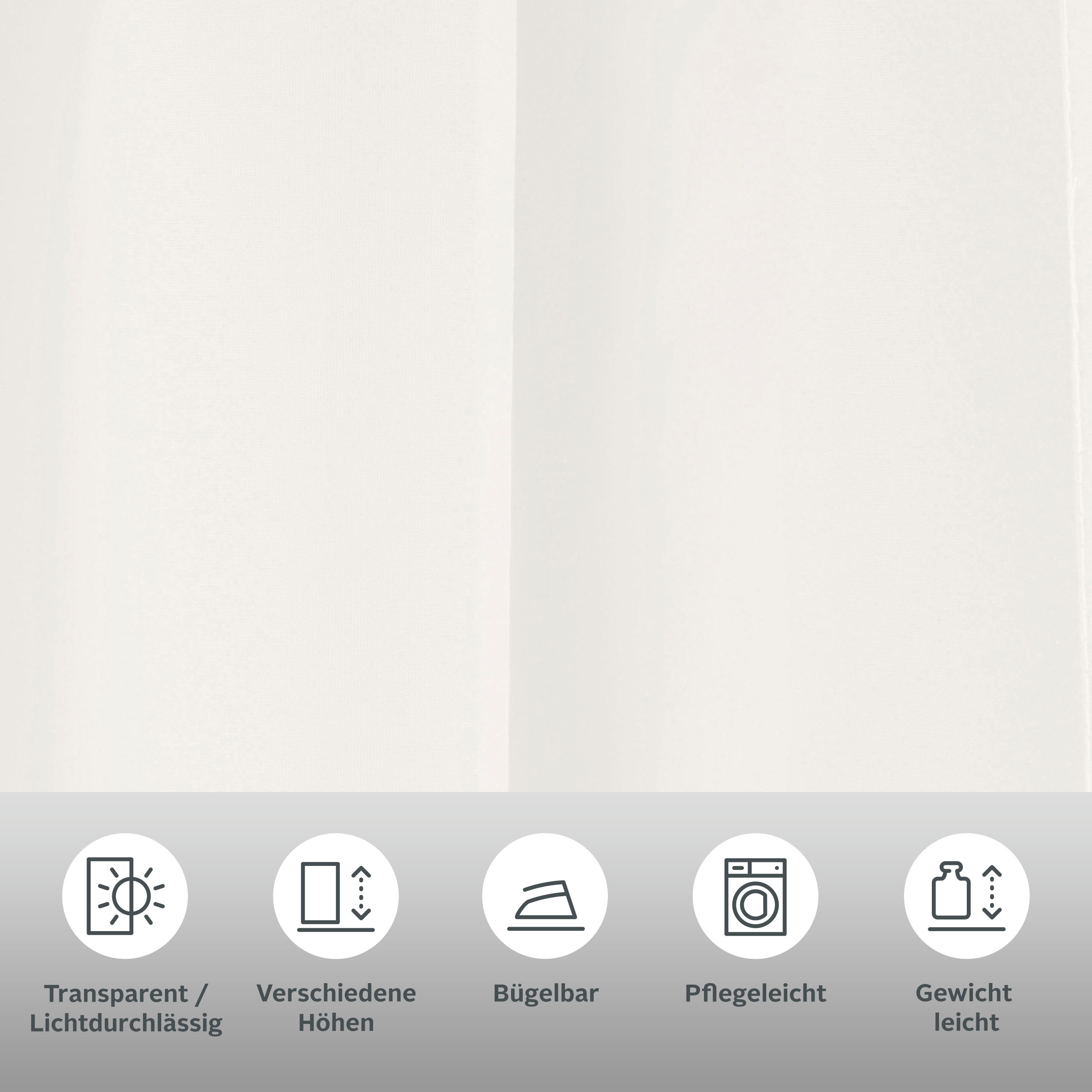 OTTO home Gardine XANA (1 St), Schlaufen, transparent, Voile, Bestseller, einfarbig, 1 Schal, pflegeleicht, preiswert!