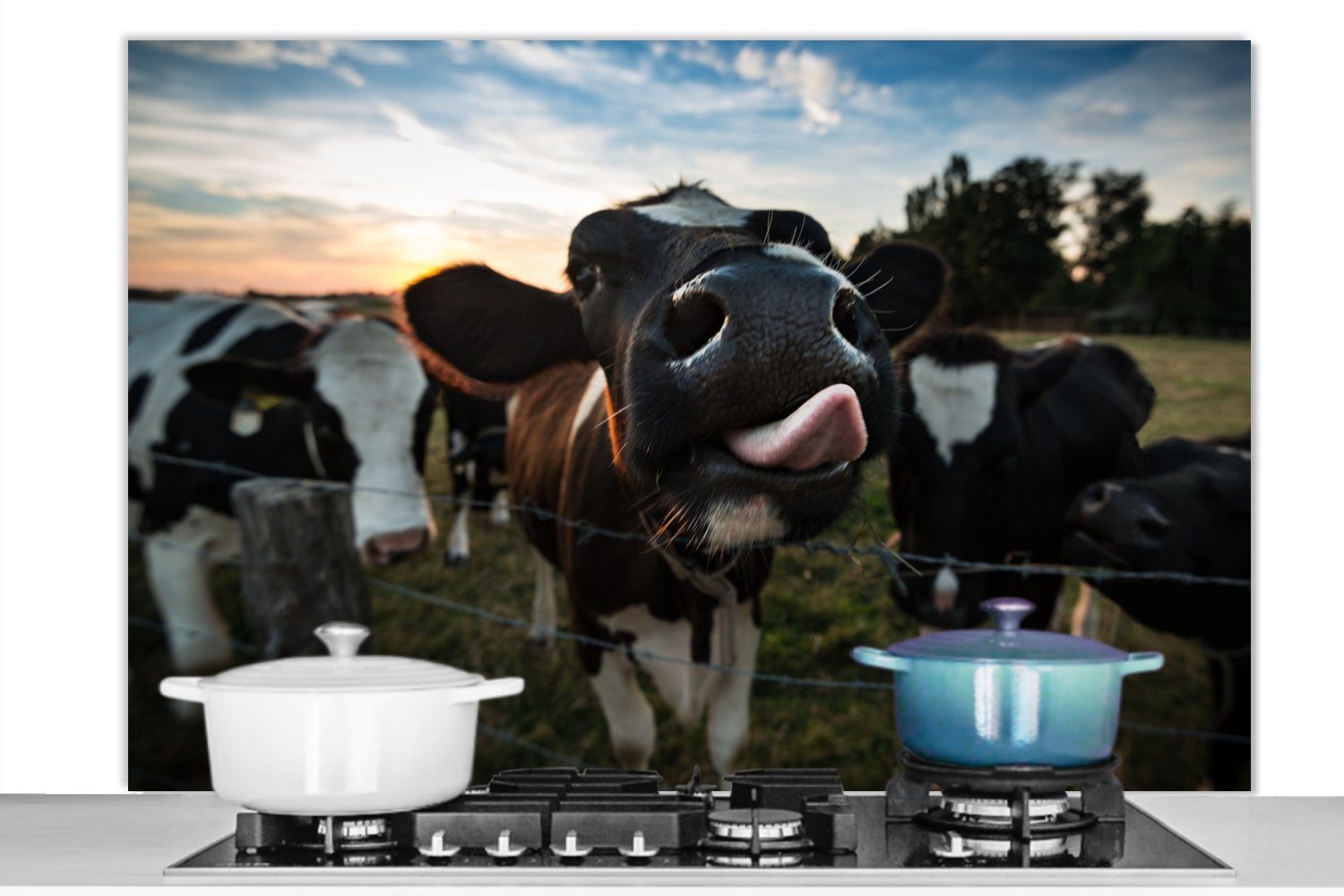 MuchoWow Küchenrückwand Kuh - Tier - Nahaufnahme, (1-tlg), Spritzschutz Küche - Küchenrückwand - Wandschutz für Herd und Spüle -