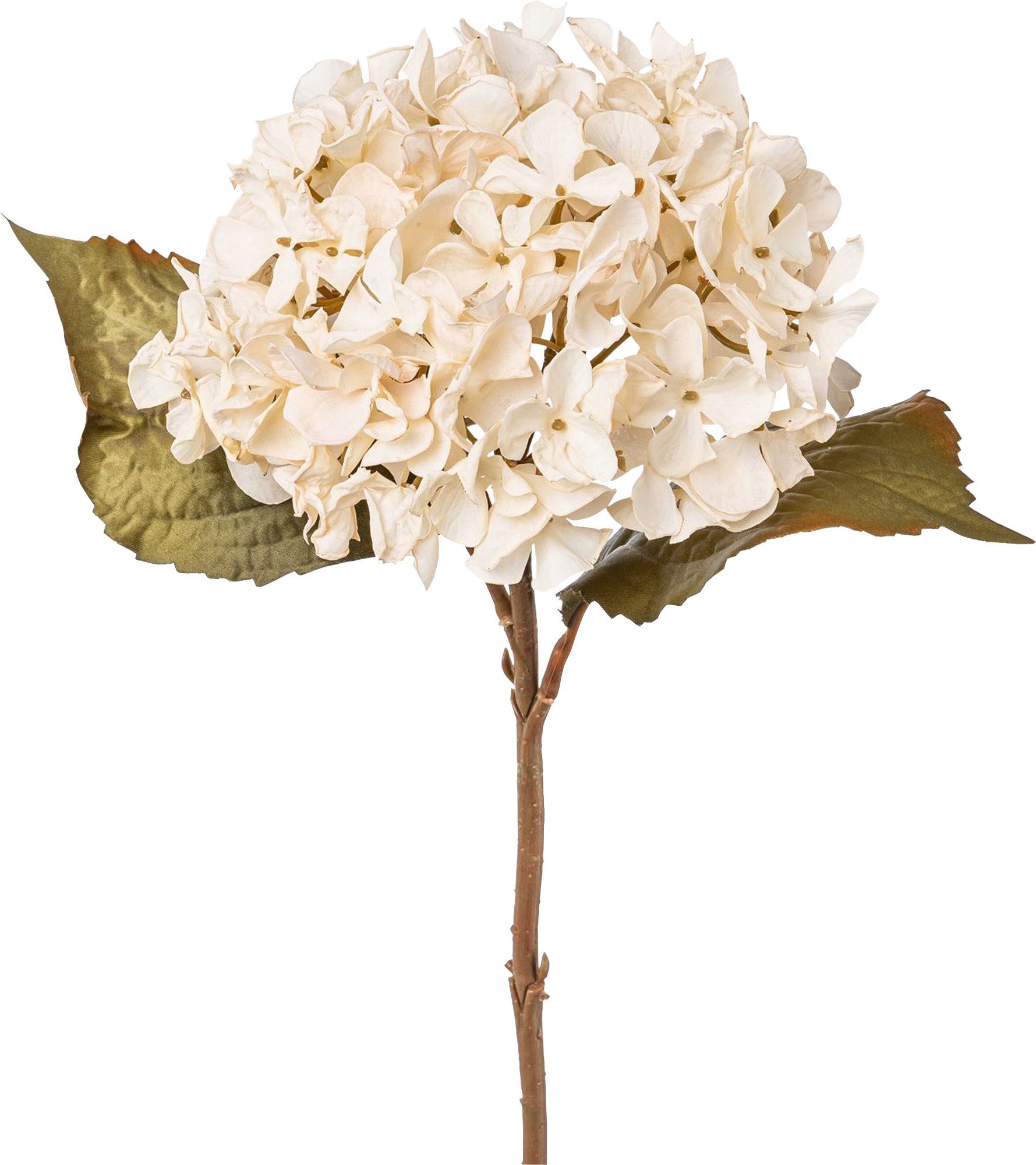 Kunstpflanze Kunstpflanze Hortensie