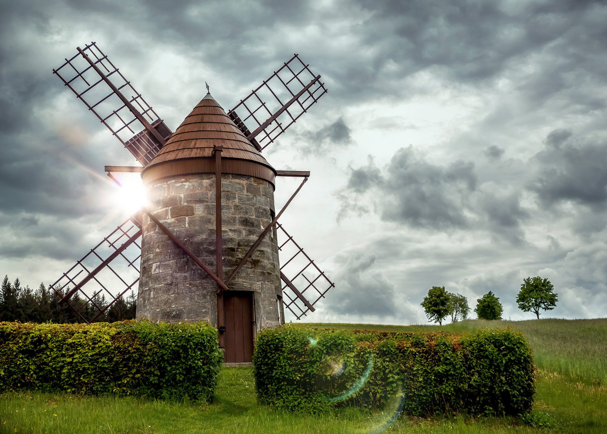Rasch Fototapete Windmühle - Vliestapete Grau Grün, floral, bedruckt, (1 Rolle, 1 St., Kollektion 'Magicwalls' - 2,65 m x 3,71 m), Lichtbeständige Farben - Feucht abwischbar - Restlost abziehbar