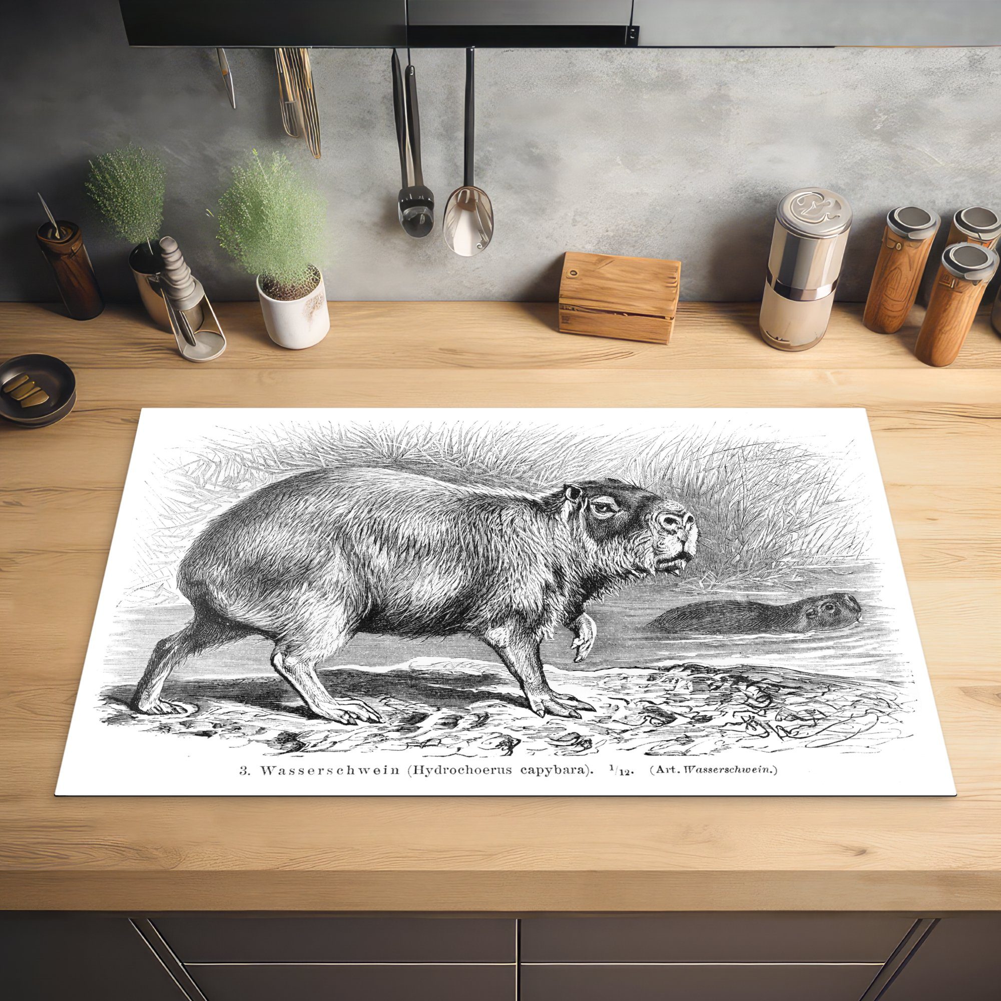 Wasserschweins Illustration 83x51 in Eine Arbeitsplatte Vinyl, eines Herdblende-/Abdeckplatte (1 küche für Ceranfeldabdeckung, cm, Schwarz-Weiß, MuchoWow tlg),