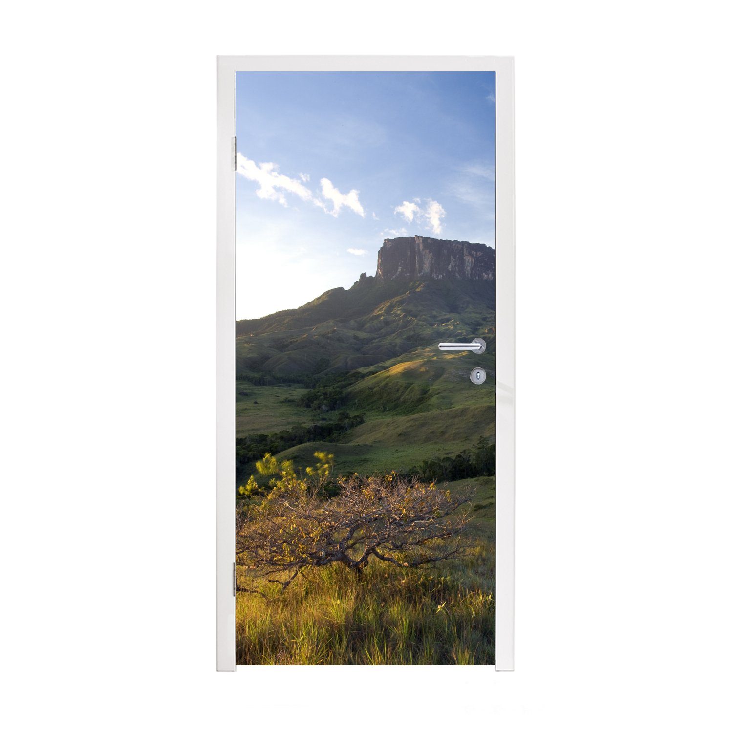 Fototapete Türtapete 75x205 bedruckt, St), Matt, Tür, (1 für Türaufkleber, in Sonnenuntergang MuchoWow im cm Canaima-Nationalpark Venezuela,