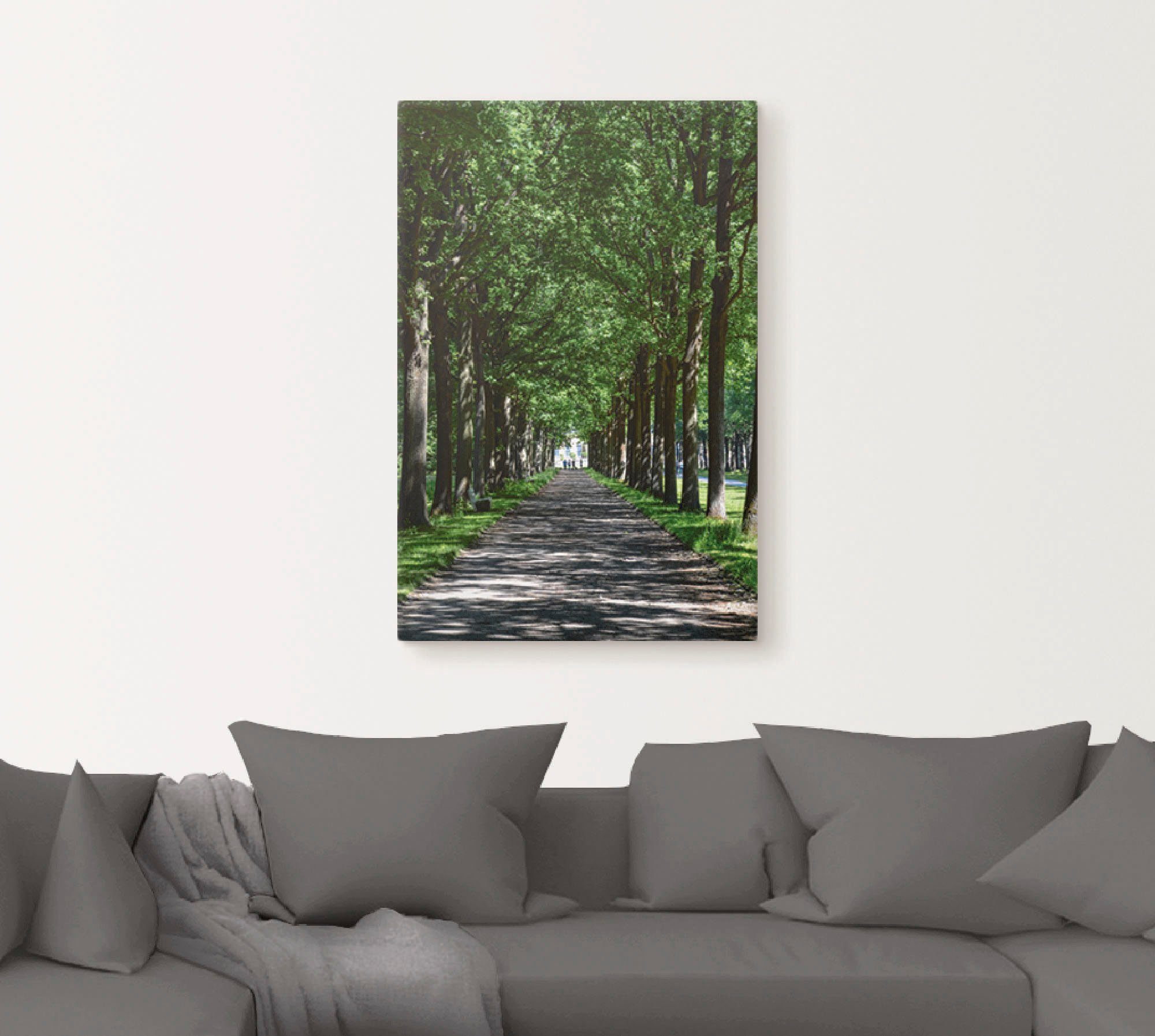 Artland Leinwandbild Allee in der Karlsaue in Kassel, Bäume (1 St), auf Holzrahmen gespannt