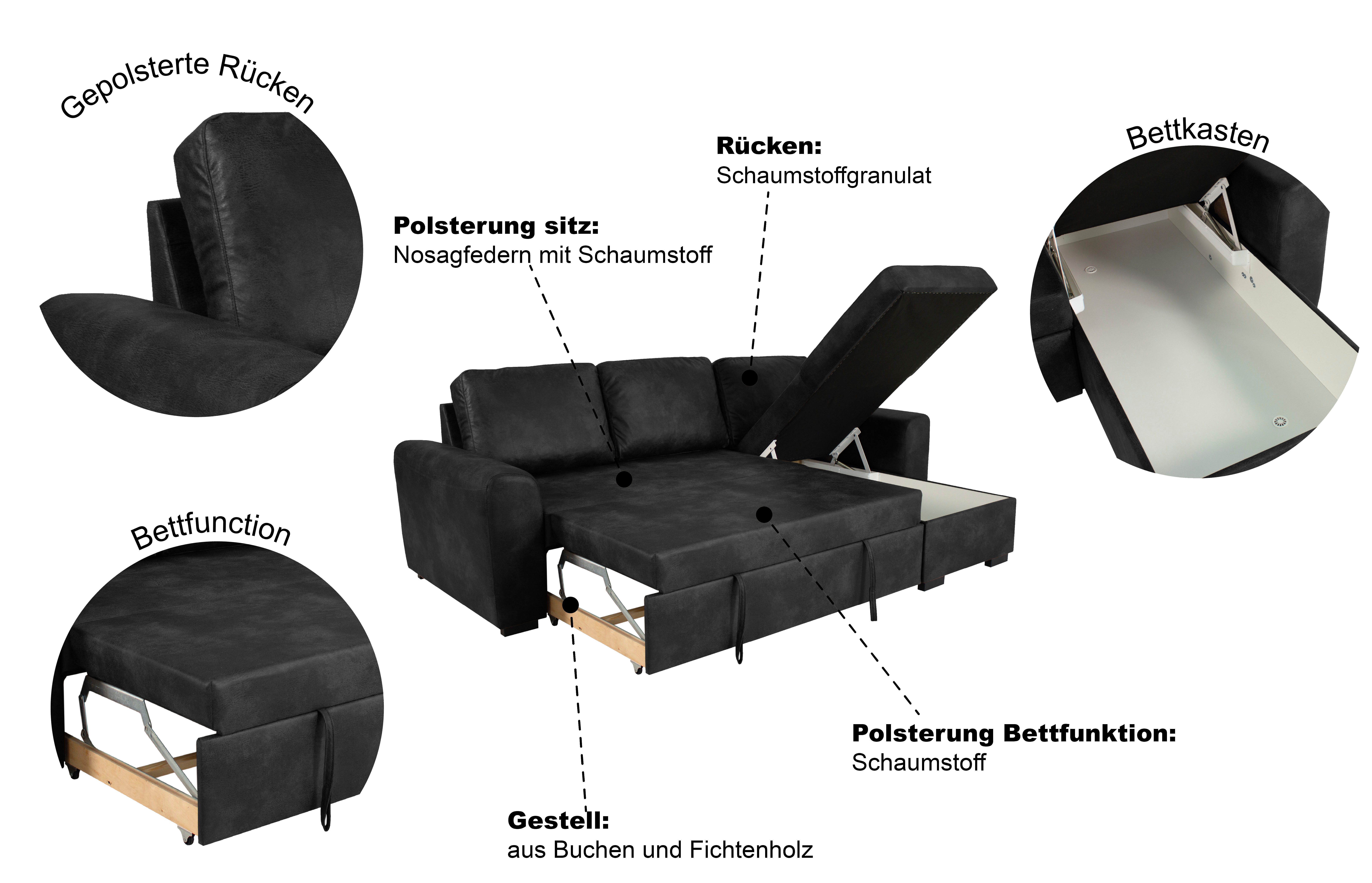 Trends by HG Ecksofa Poll L-Form, B: 245 cm, mit Schlaffunktion & Bettkasten