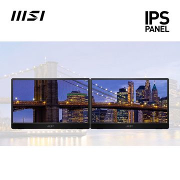 MSI PRO MP161 Portabler Monitor (40 cm/16 ", 1920 x 1080 px, Full HD, 4 ms Reaktionszeit, 60 Hz, IPS-LED, 3 Jahre Herstellergarantie, USB-C)