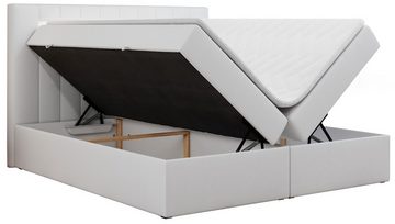 MKS MÖBEL Boxspringbett GOLD5, Polsterbett mit LED Kopfteil - Doppelbett mit Bettkasten
