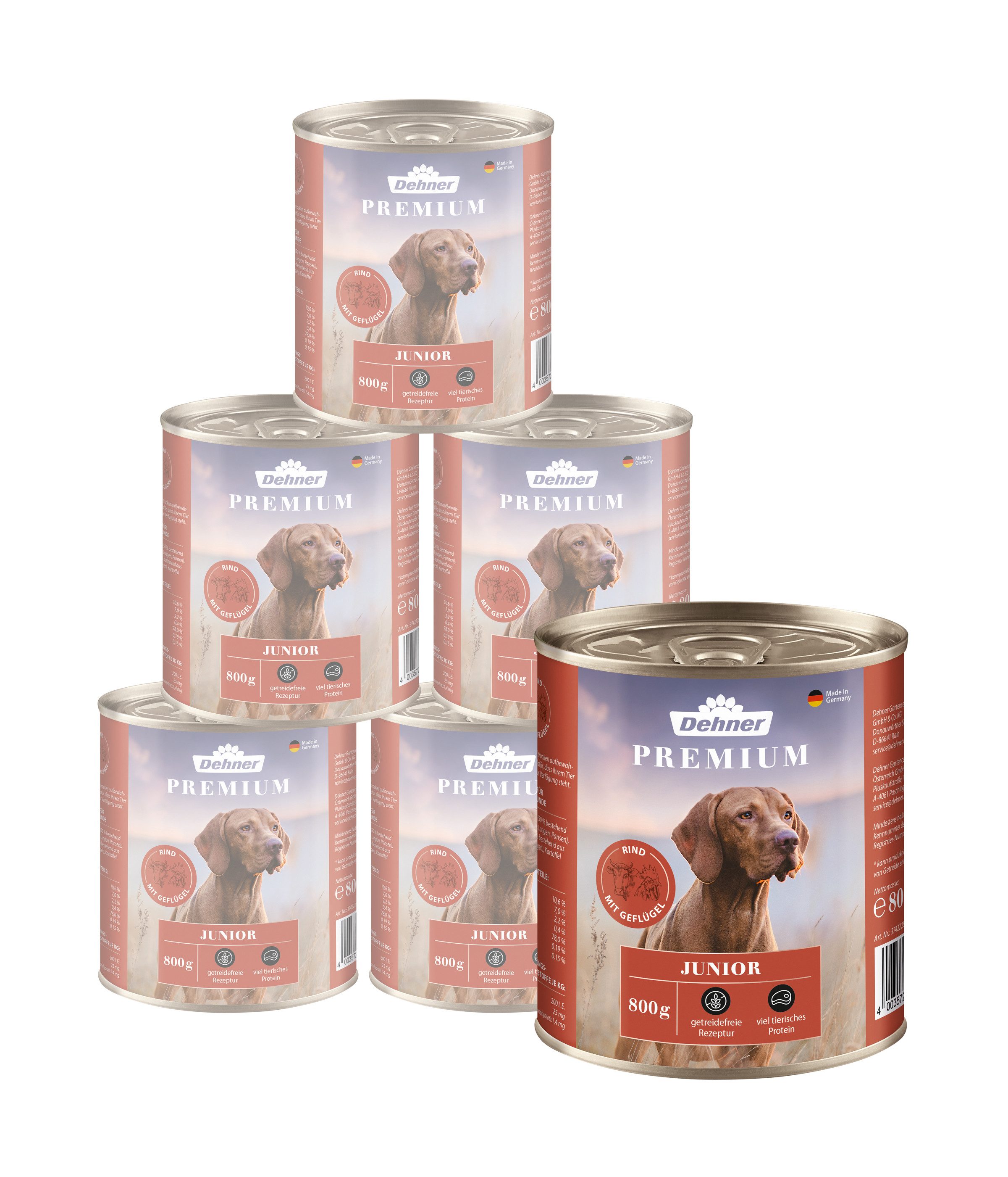Dehner Premium Junior Rind / Geflügel / Kartoffel, 6 x 800 g Dose (4.8 kg) Geflügel, Nassfutter für: Hunde, Nassfutter für Welpen und junge Hunde, getreidefrei