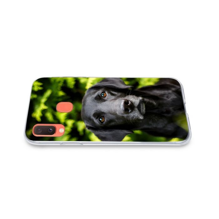 MuchoWow Handyhülle Ein schwarzer Labrador Retriever inmitten der grünen Blätter Handyhülle Samsung Galaxy A20e Smartphone-Bumper Print Handy QR11083