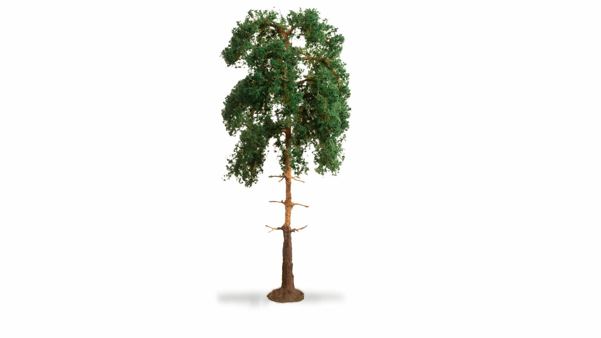 NOCH Dekobaum NOCH® Kiefer, mit langen Nadeln, 18 cm hoch für di