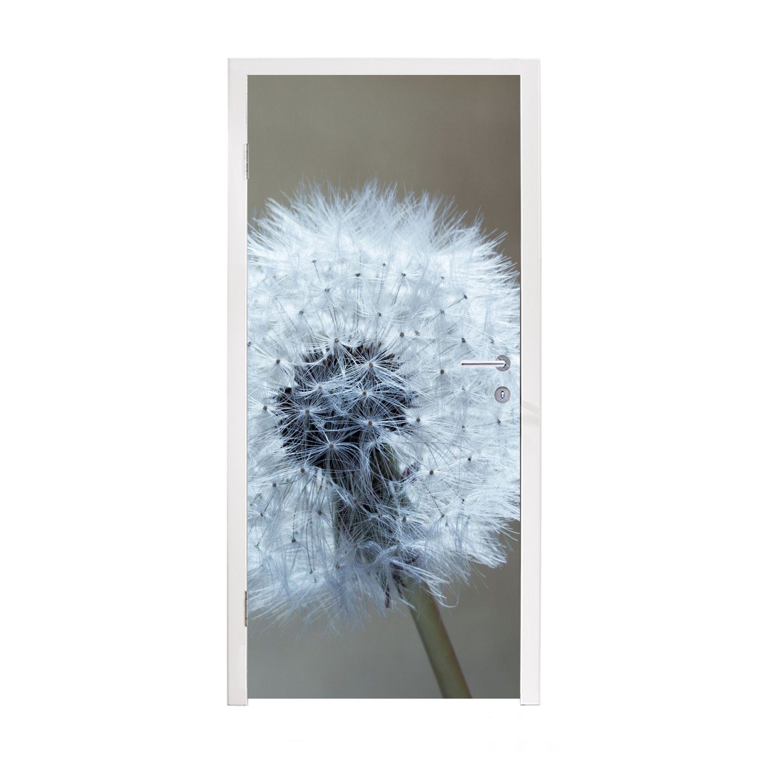 cm bedruckt, Tür, - Blume MuchoWow St), - Löwenzahn Fototapete Pflanze, (1 75x205 für Matt, Türtapete Türaufkleber,