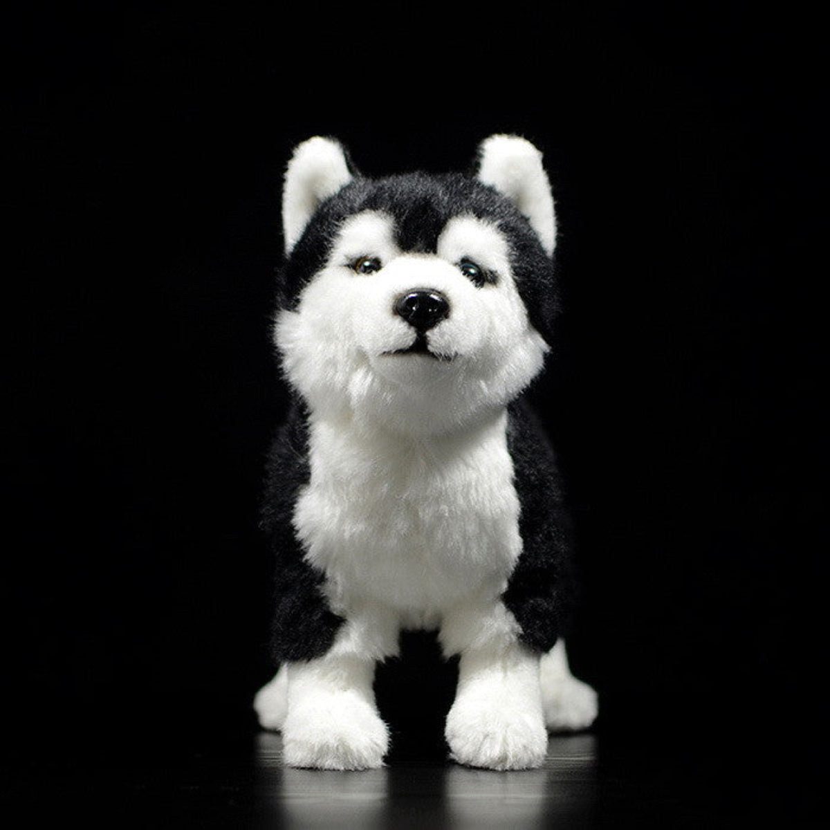 Tinisu Plüschfigur Husky Kuscheltier 28 cm – Realistisches Plüschtier Hund Stofftier