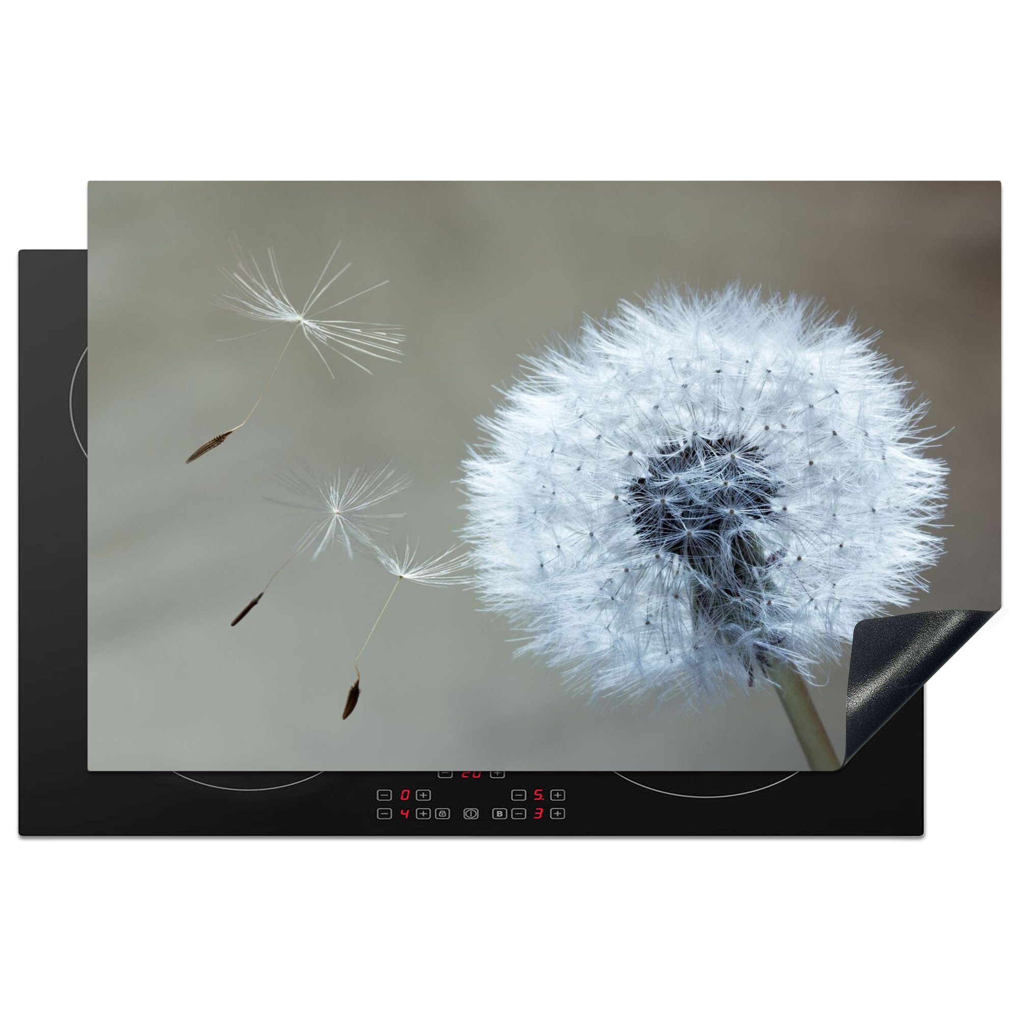 MuchoWow Herdblende-/Abdeckplatte Löwenzahn - Blume - Pflanze, Vinyl, (1 tlg), 81x52 cm, Ceranfeldabdeckung, Arbeitsplatte für küche