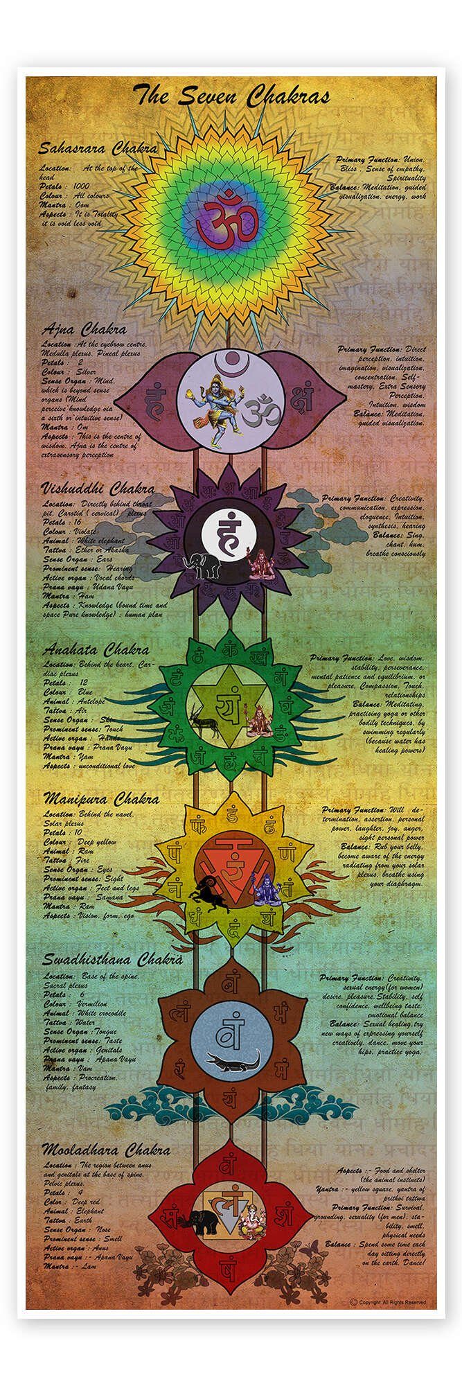 Posterlounge Wandbild The Seven Chakras (Englisch), Sharma Satyakam, erhältlich als Poster, Leinwandbild, Wandsticker oder Acrylglasbild