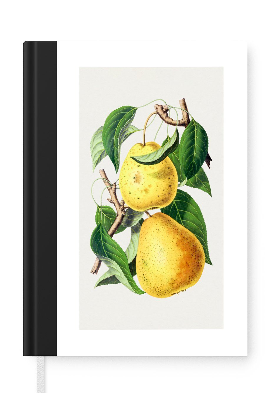 MuchoWow Notizbuch Birnen - Lebensmittel - Obst, Journal, Merkzettel, Tagebuch, Notizheft, A5, 98 Seiten, Haushaltsbuch