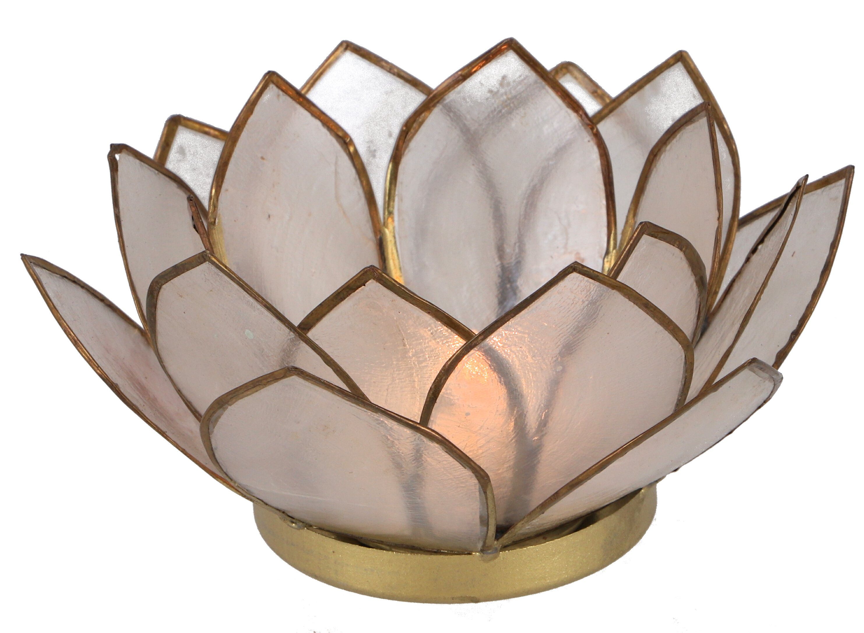 Guru-Shop Windlicht Lotus Teelicht Muschel 14*6 cm - weiß