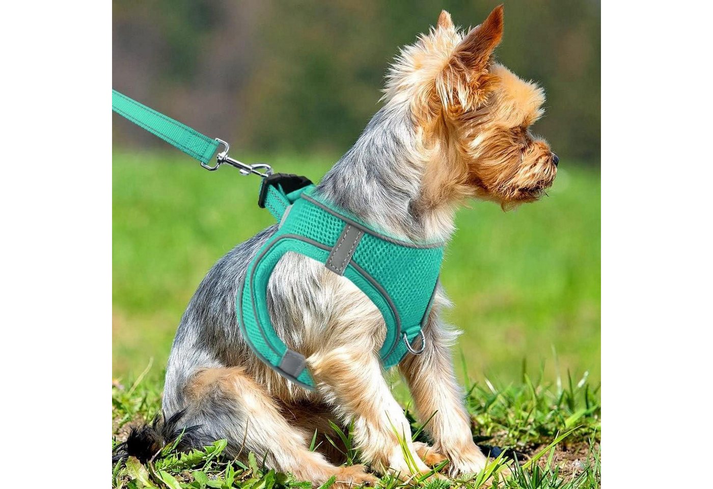 Thumbnail - Joytale Hunde-Halsband Hundegeschirr für Kleine Hunde Air-Mesh Reflektierend S Türkis