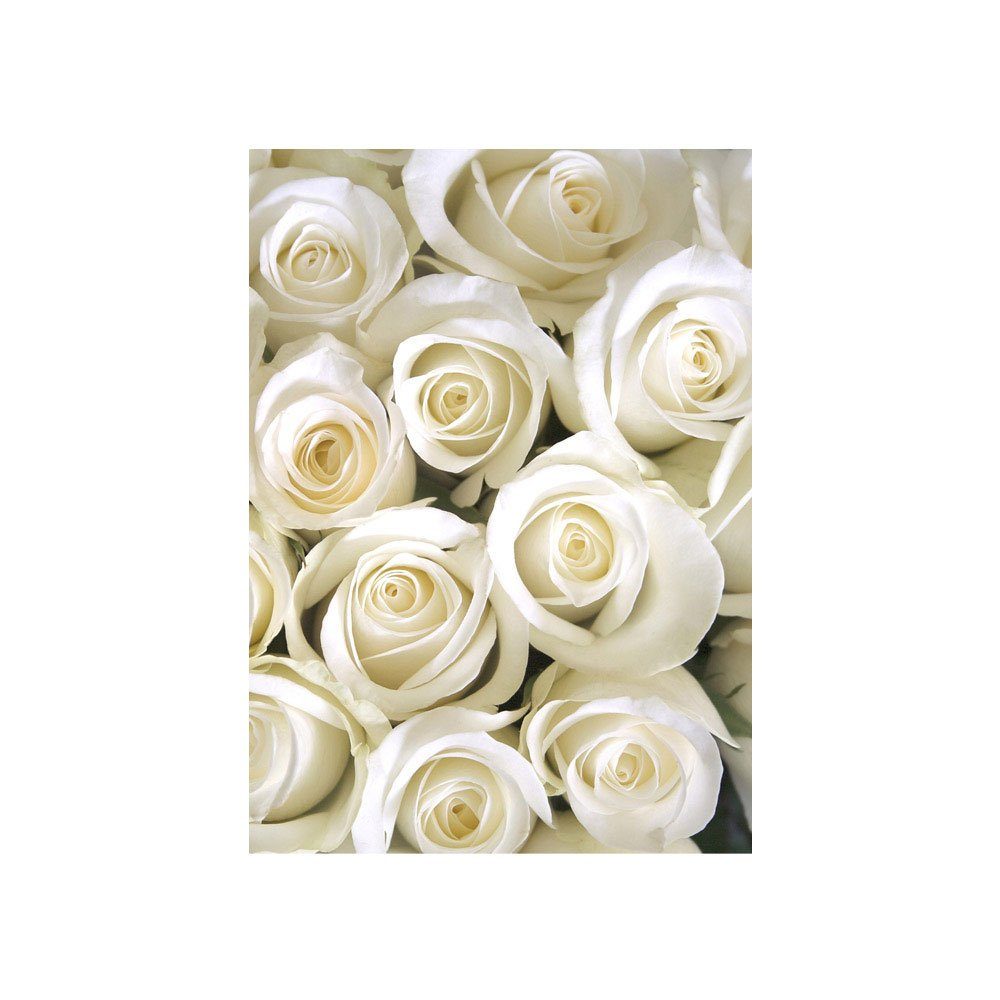 Blüten 184, Fototapete no. Blüte liwwing Weiß Natur liwwing Blumen Rose Liebe Fototapete Blumen Love