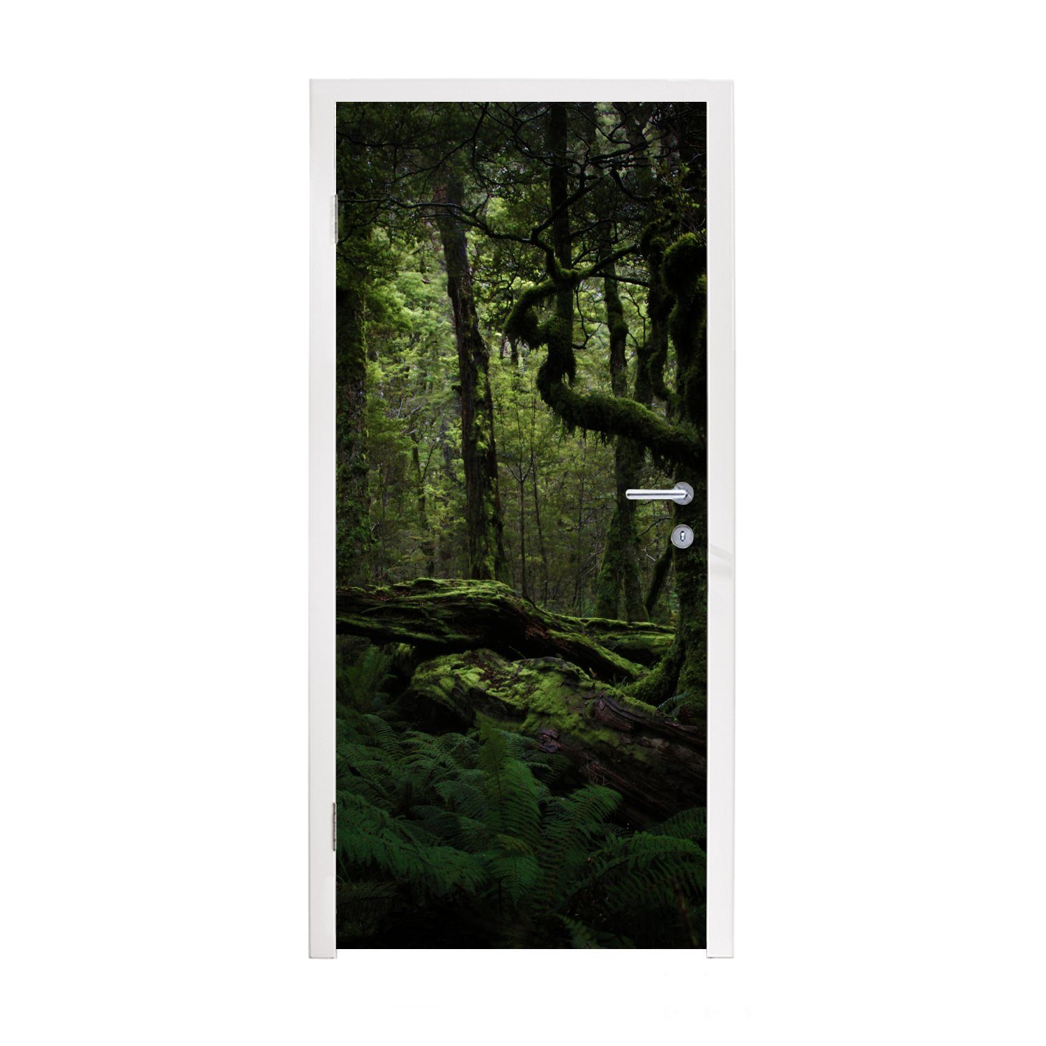 Matt, Fototapete (1 Dunkler MuchoWow 75x205 bedruckt, Türaufkleber, für Tür, St), cm märchenhafter Dschungel, Türtapete
