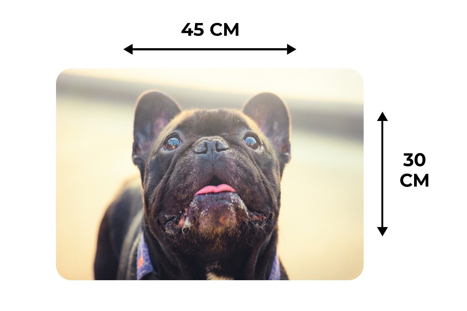 Platzset, Französische Bulldogge - - (6-St), Platzset, Schmutzabweisend Schwarz Platzdecken, Platzmatte, Tischmatten, Sonne, MuchoWow