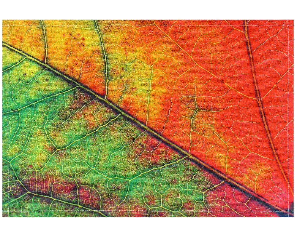 matches21 HOME & HOBBY Platzset Tischsets Platzsets Stoff CLOTH Herbstblatt günstig online kaufen