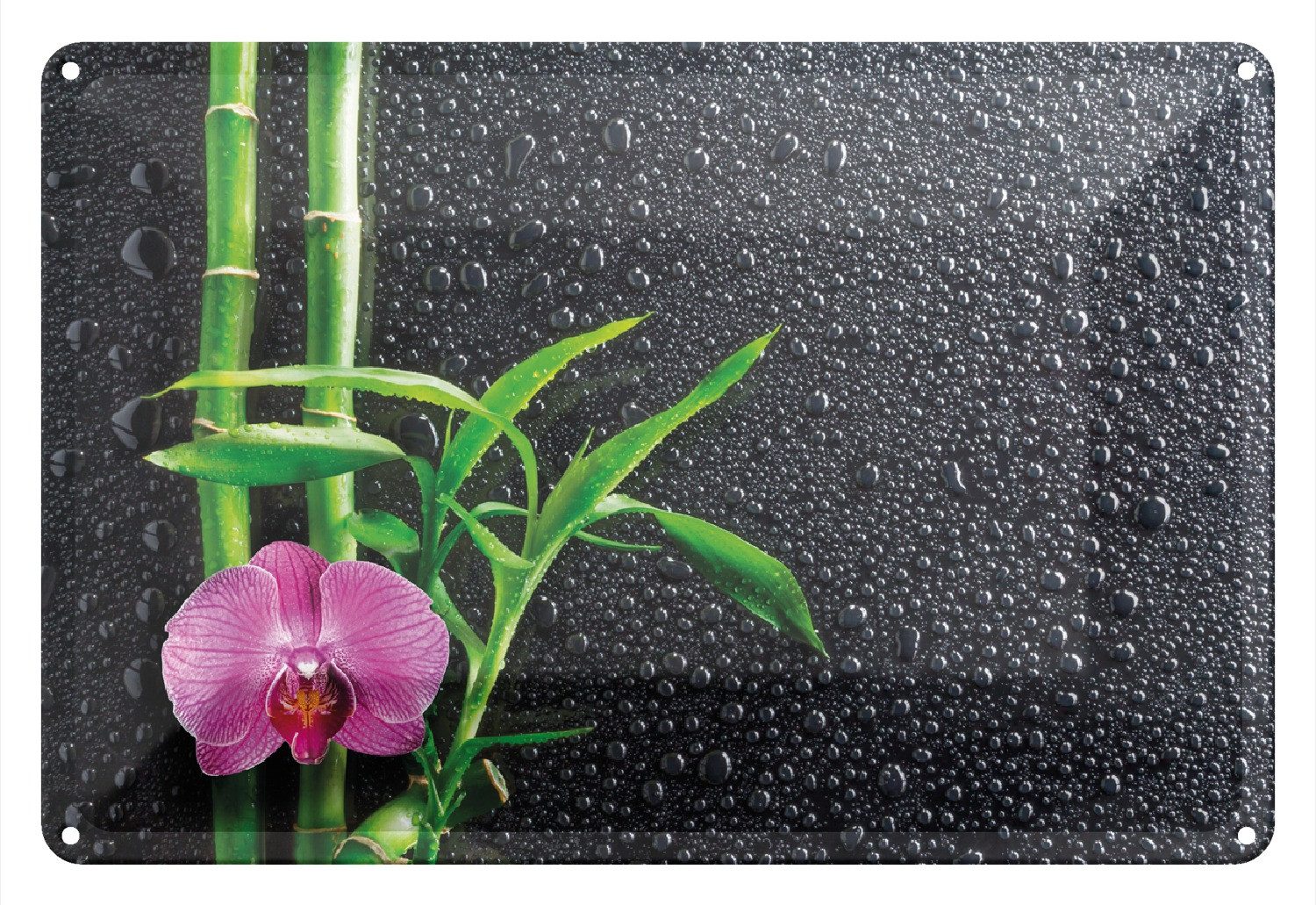 Wallario Metallbild, Bambus und pinke Orchidee auf schwarzem Glas mit Regentropfen, in verschiedenen Ausführungen