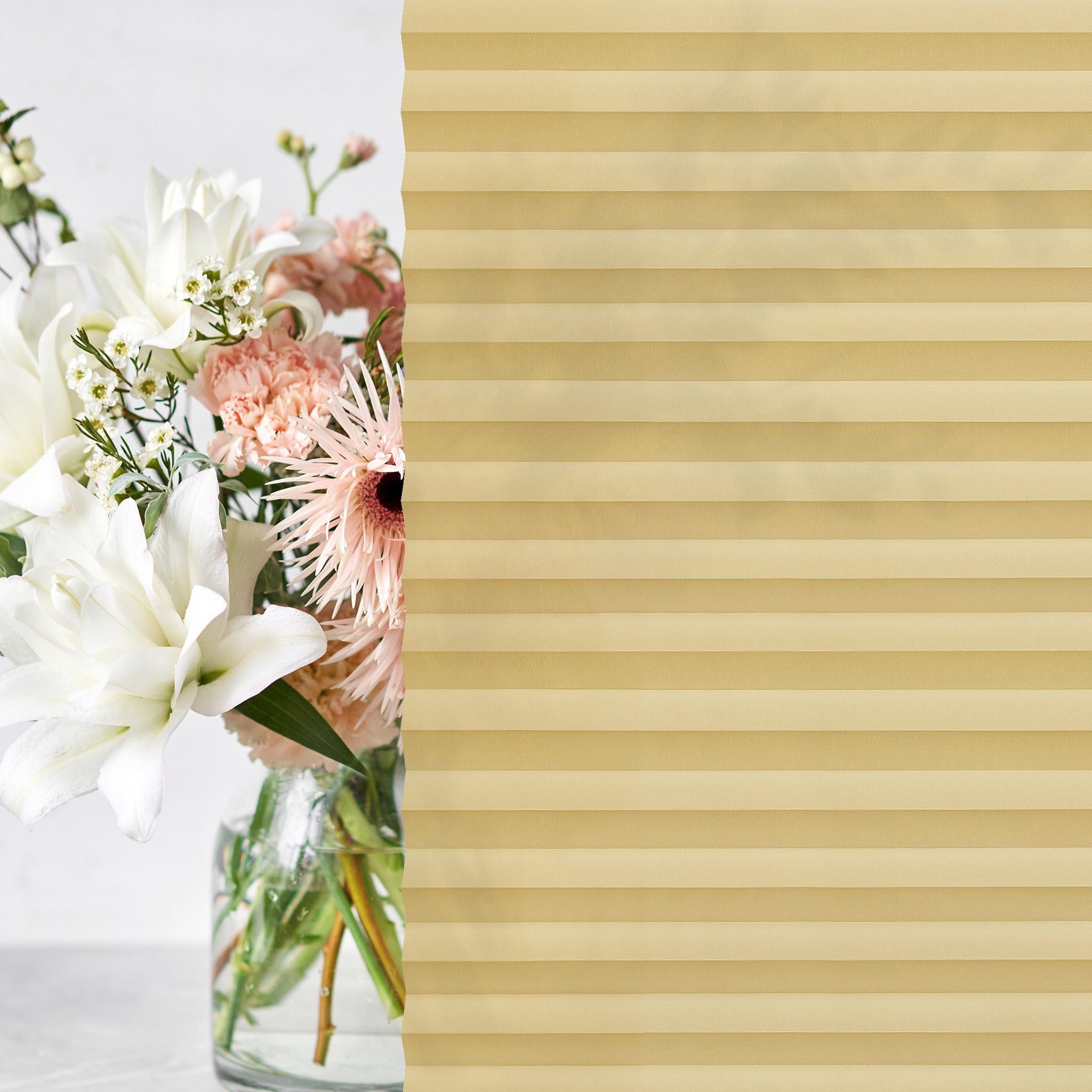 jalousiescout Plissee Pure Plissee Premium, 30 x 100 cm, beige, halbtranspa günstig online kaufen