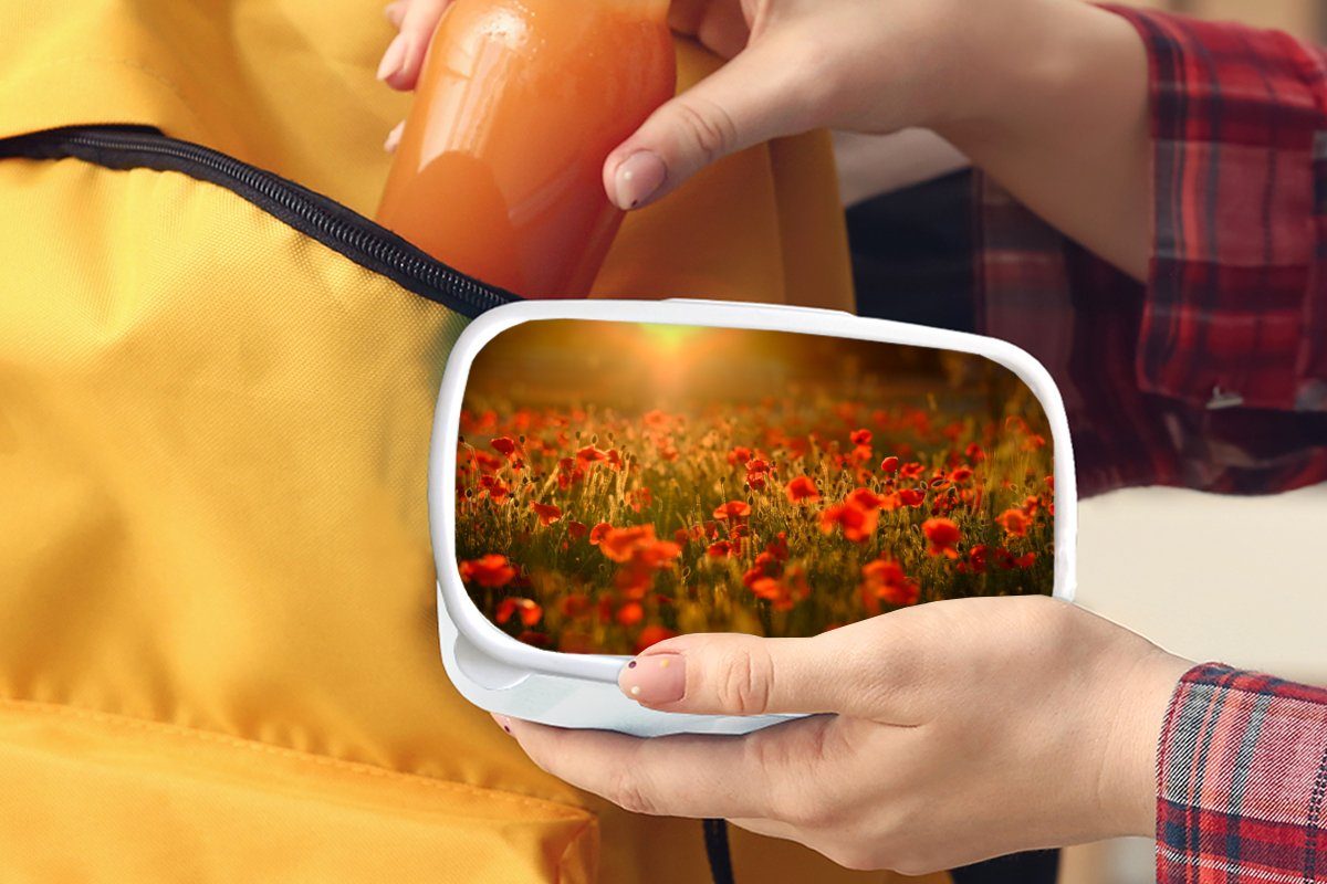 MuchoWow Lunchbox Orangefarbenes Leuchten Mädchen und für für Erwachsene, Brotbox über Kunststoff, weiß Feld, auf Brotdose, den Jungs Mohnblumen Kinder und dem (2-tlg)