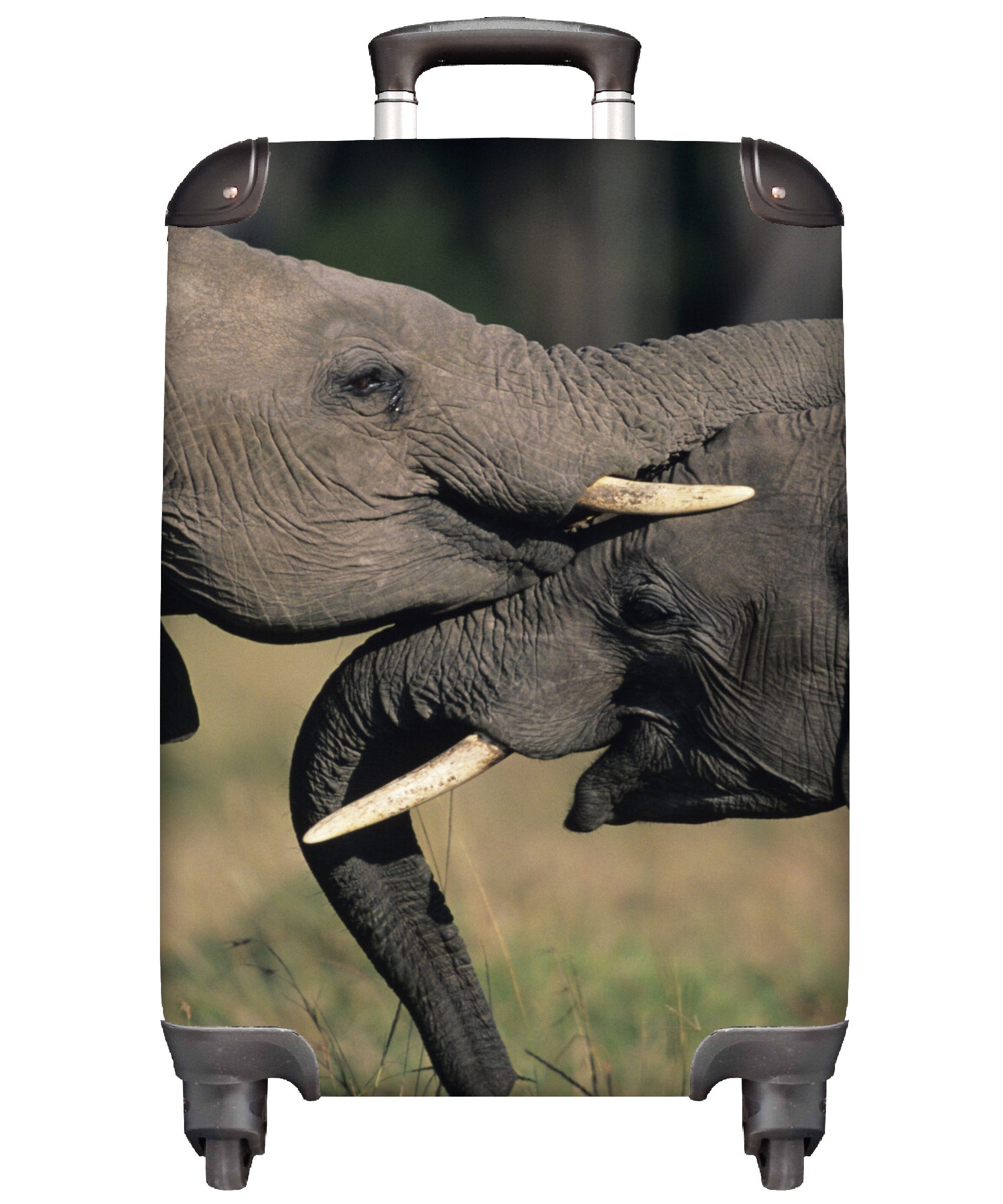 Trolley, Natur, für - - Reisekoffer Reisetasche Handgepäckkoffer MuchoWow rollen, Rollen, Grau Tiere Elefant 4 - mit Handgepäck Ferien,